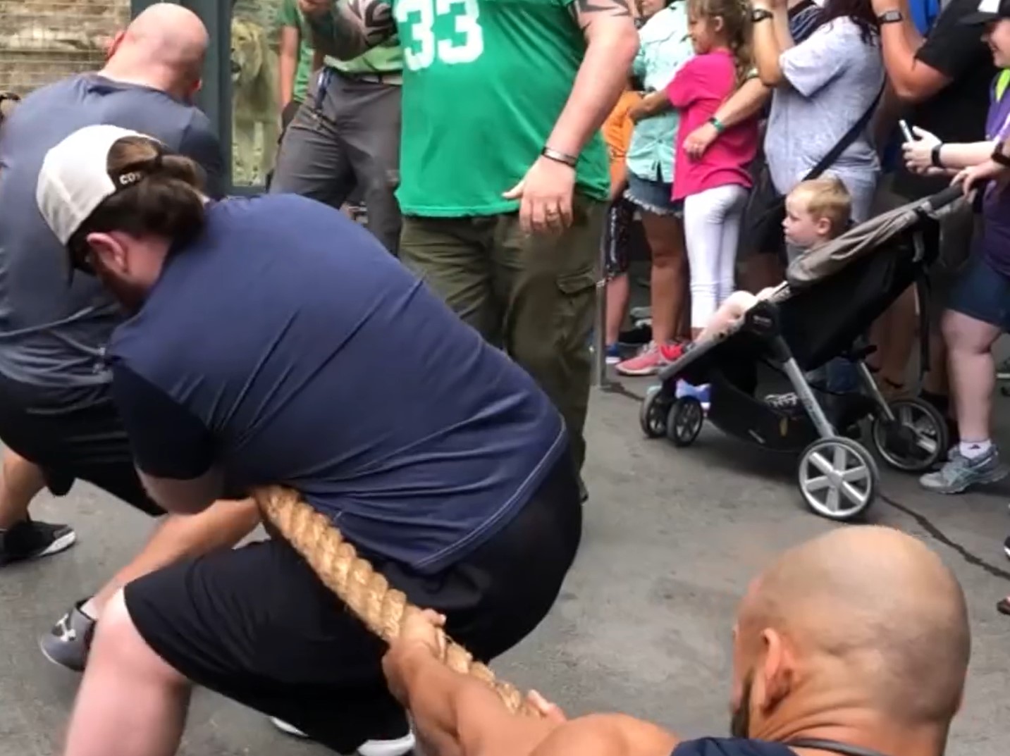 vlečenje vrvi, živalski vrt, San Antonio, Teksas