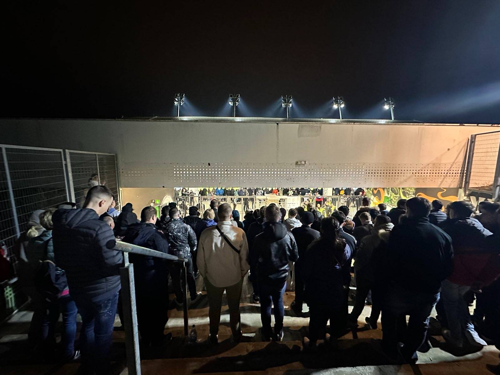 nogometna tekma, slovenija-portugalska, navijači, stožice, nogomet