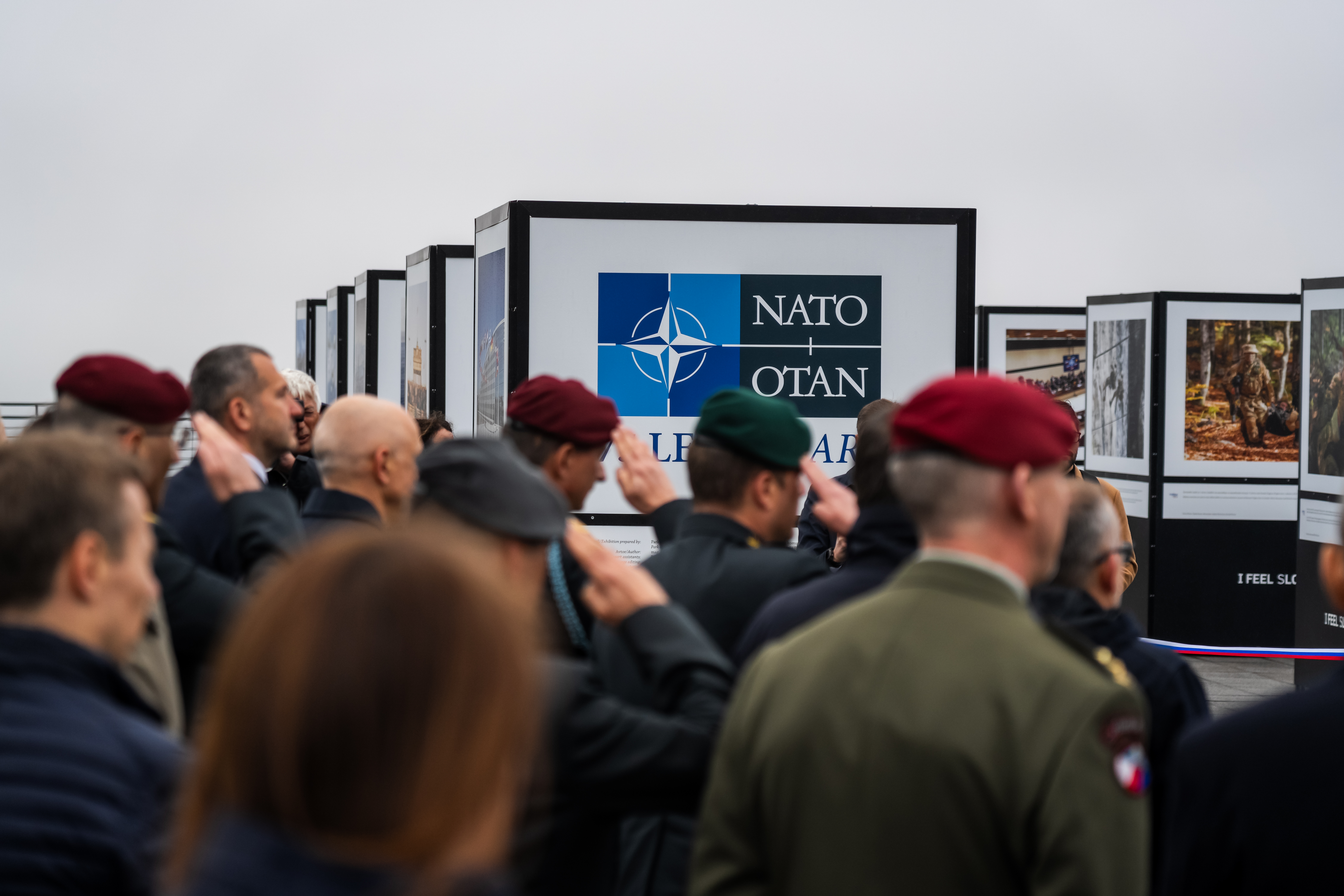 razstava, pivka, nato, vojska