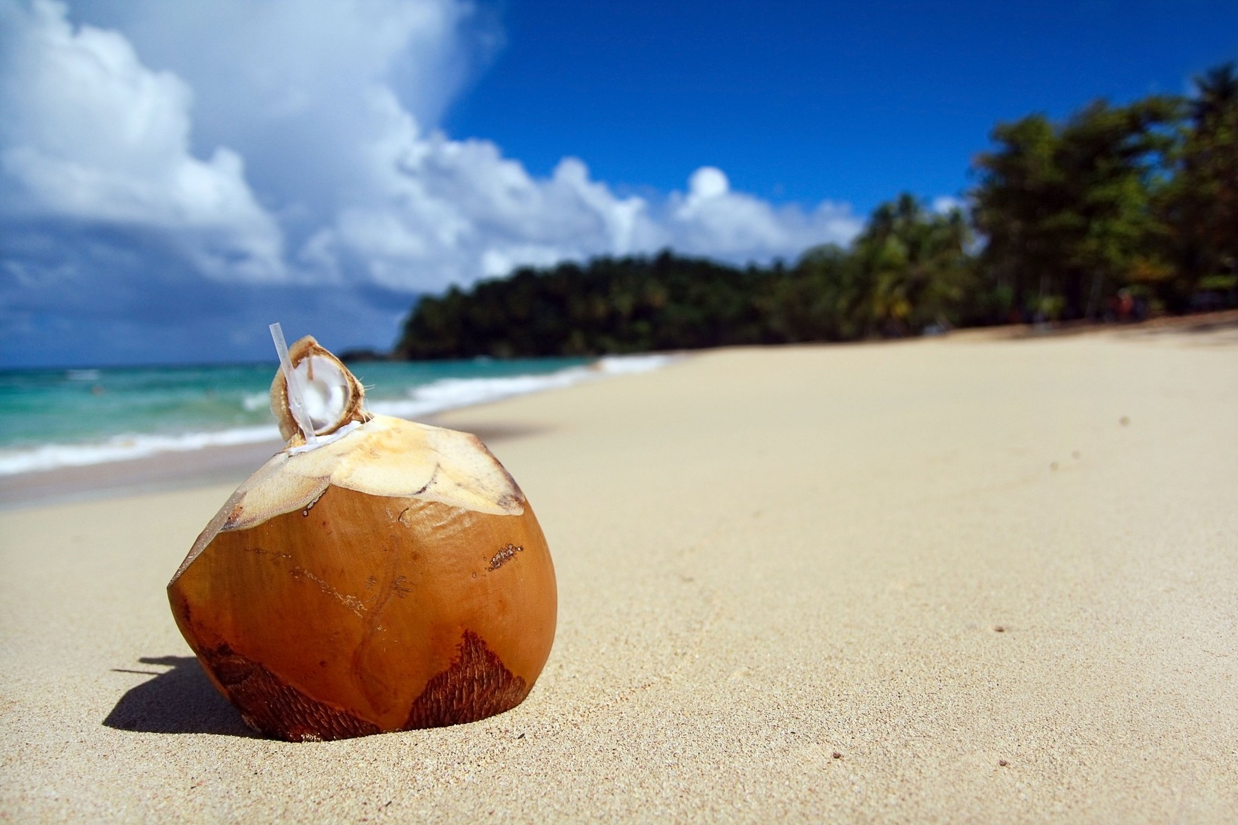 kokos, plaža, morje, poletje
