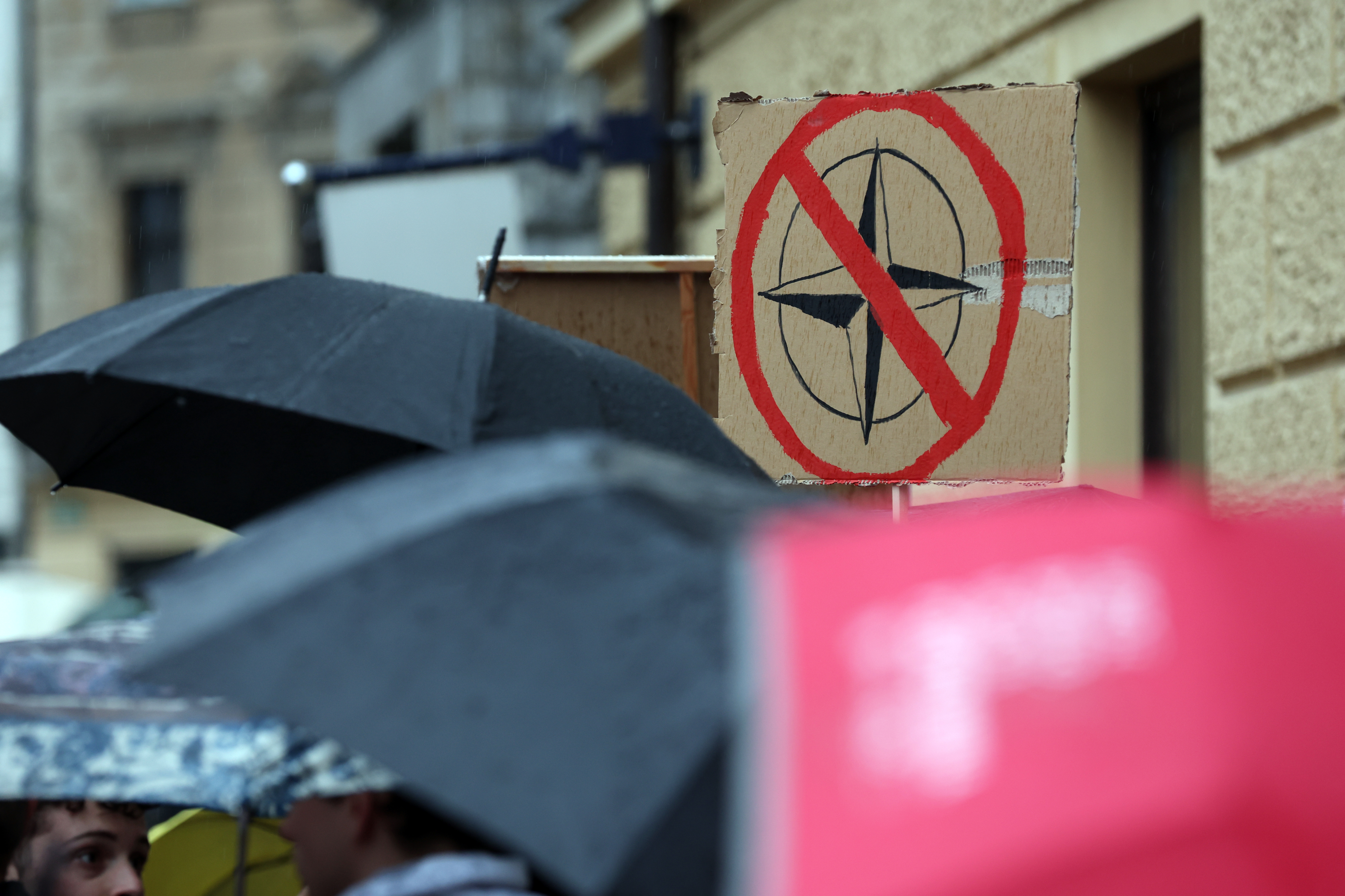 Foto: Borut Živulović/BOBO