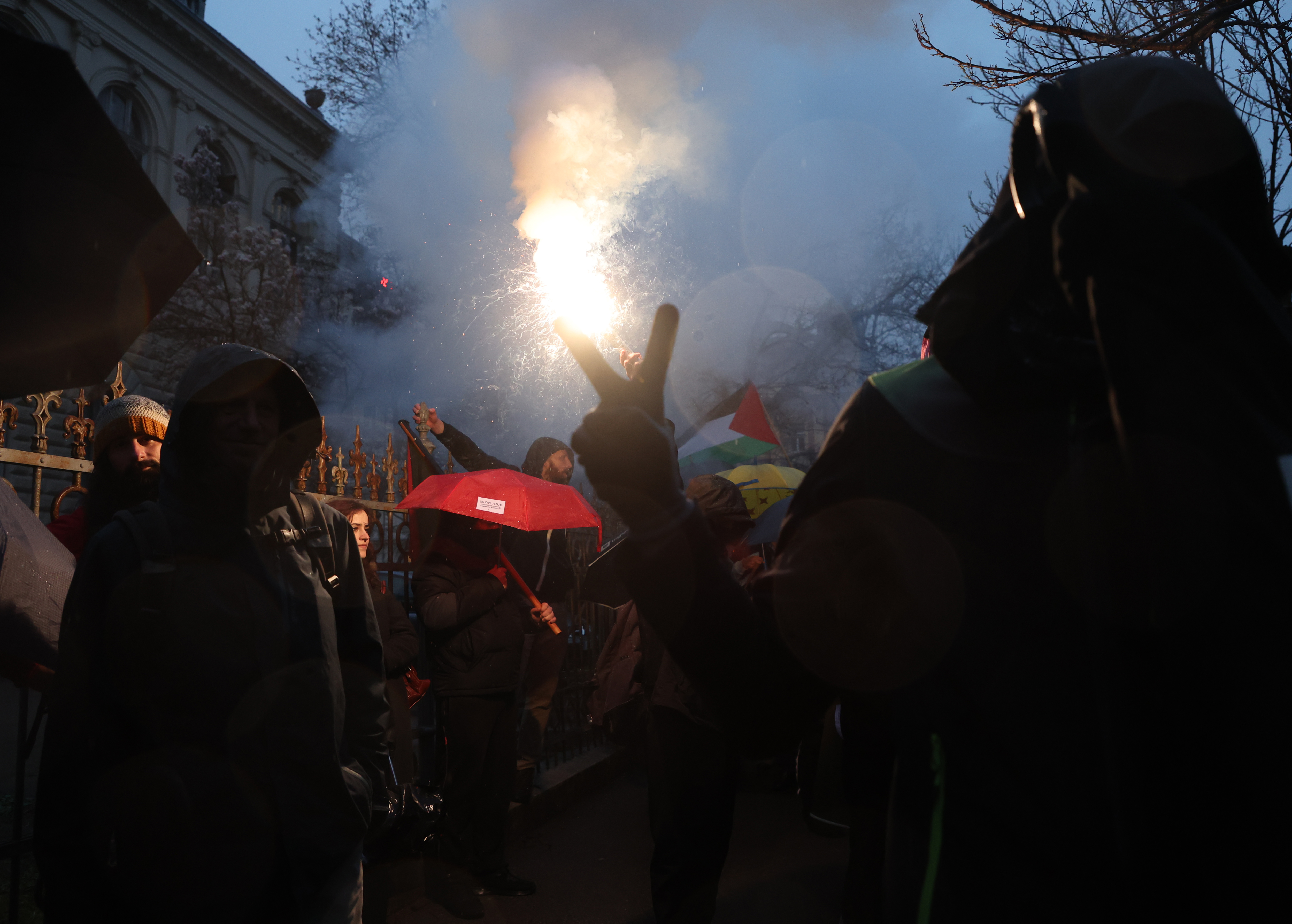 Foto: Borut Živulović/BOBO