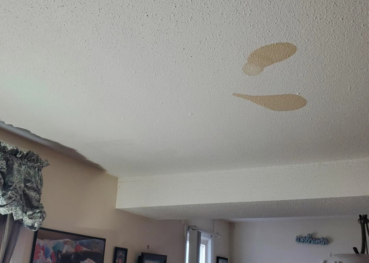 madeži na stropu, glodalci, miši, podgane, urin