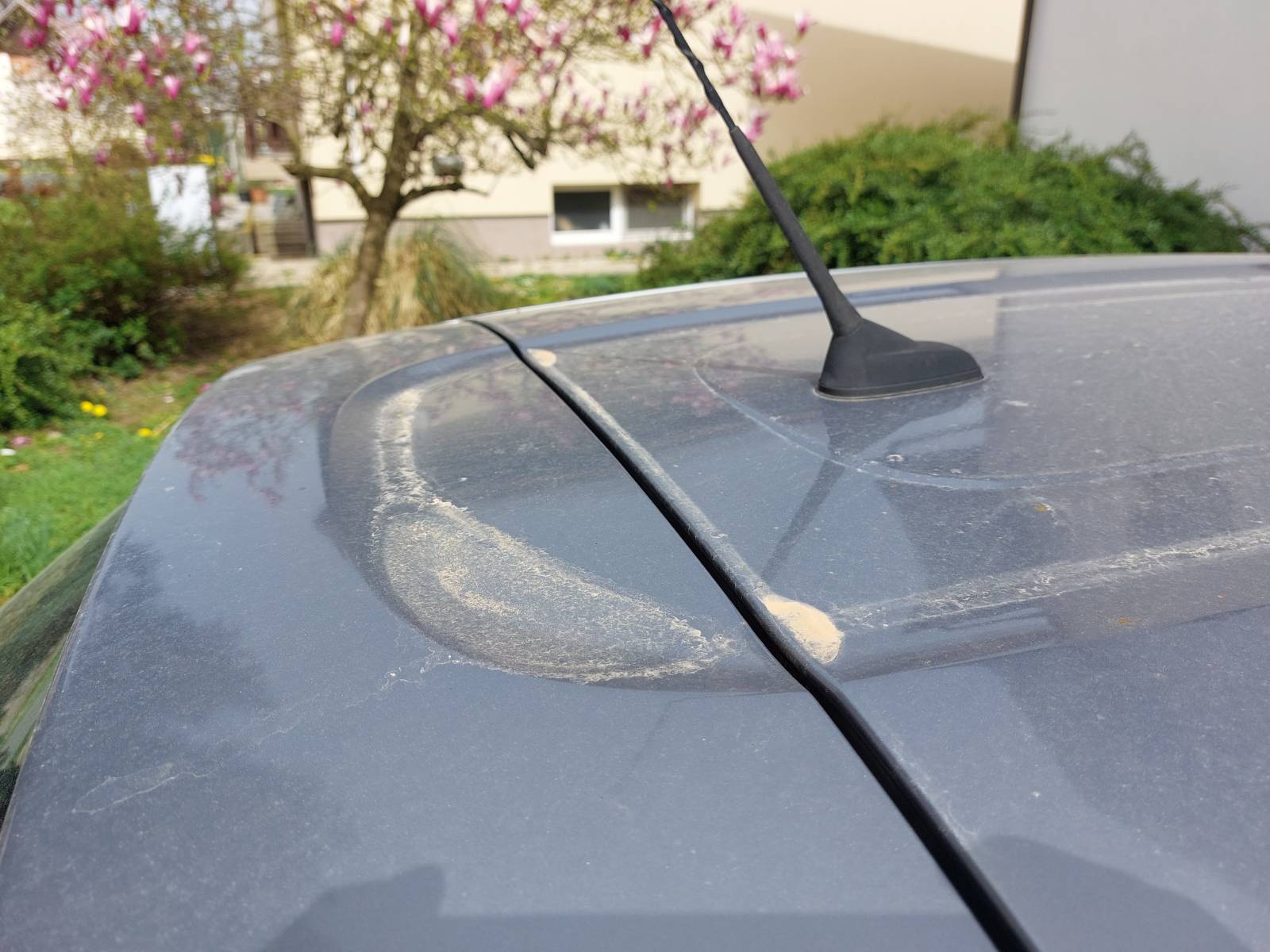 Prah na avtomobilu, Celjsko (Foto: N1)