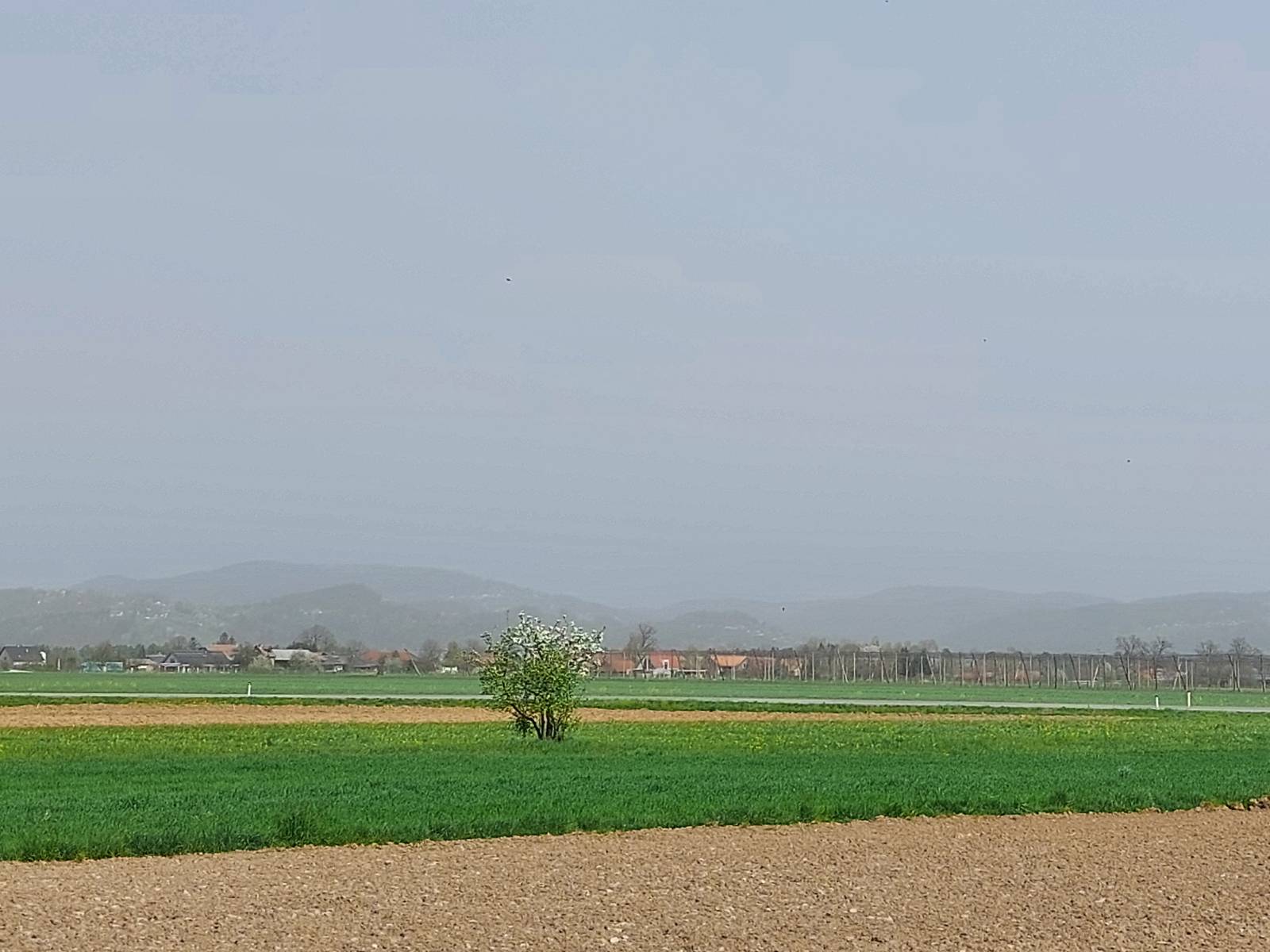 "Mrčasto" ozračje zaradi prahu na Celjskem (FOto: N1)