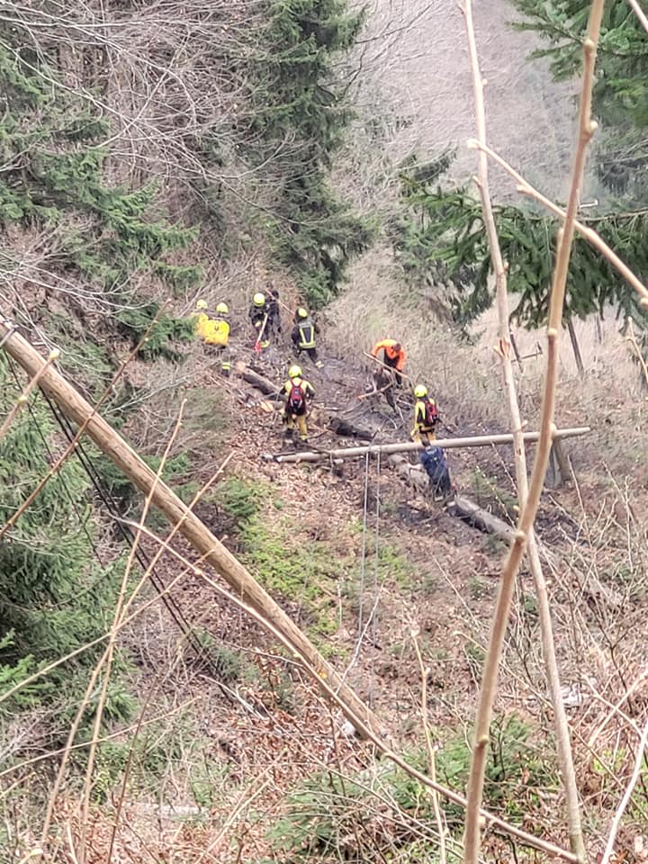 gasilci, podrta drevesa,