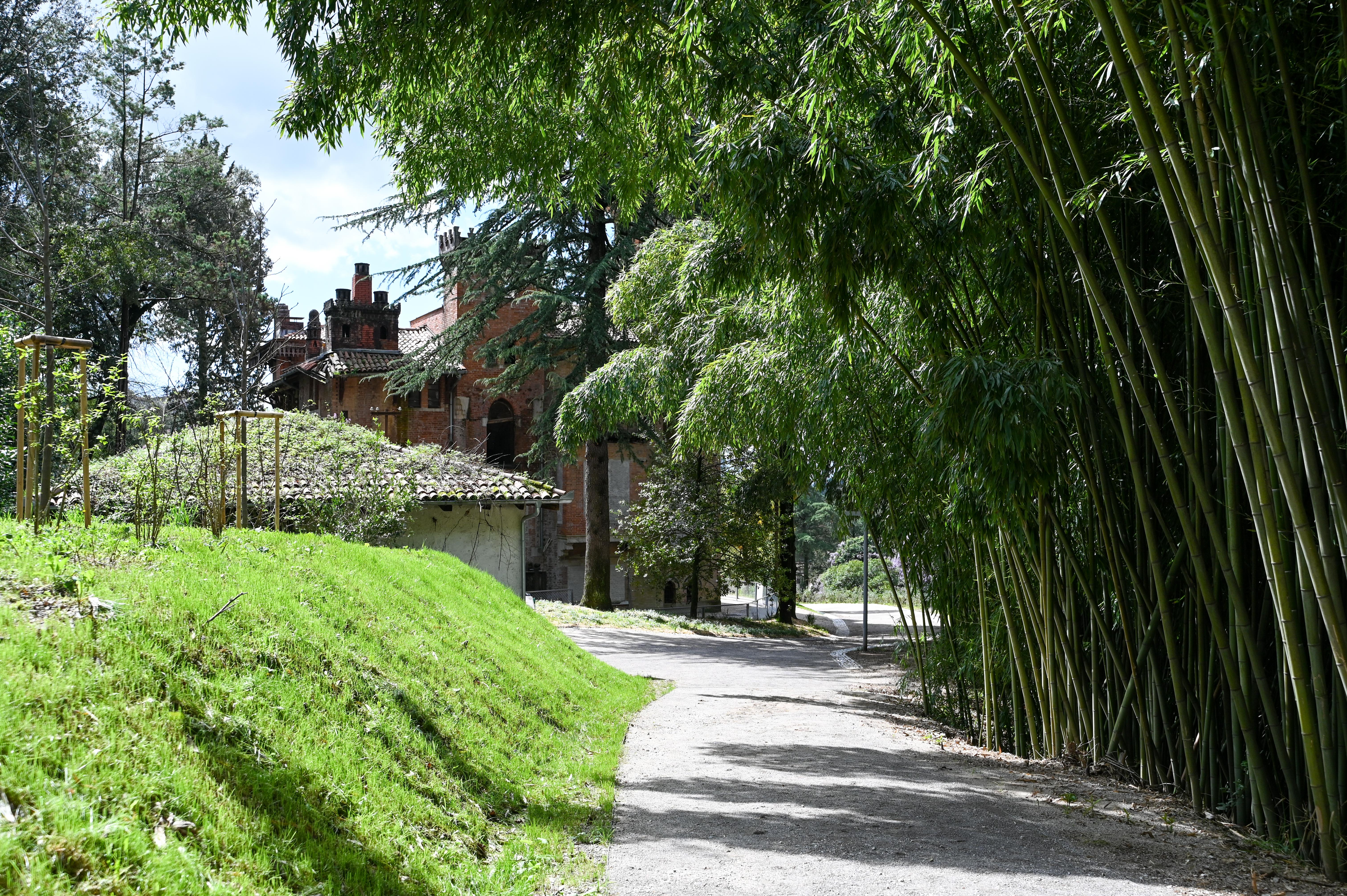 Foto: Denis Sadiković/N1