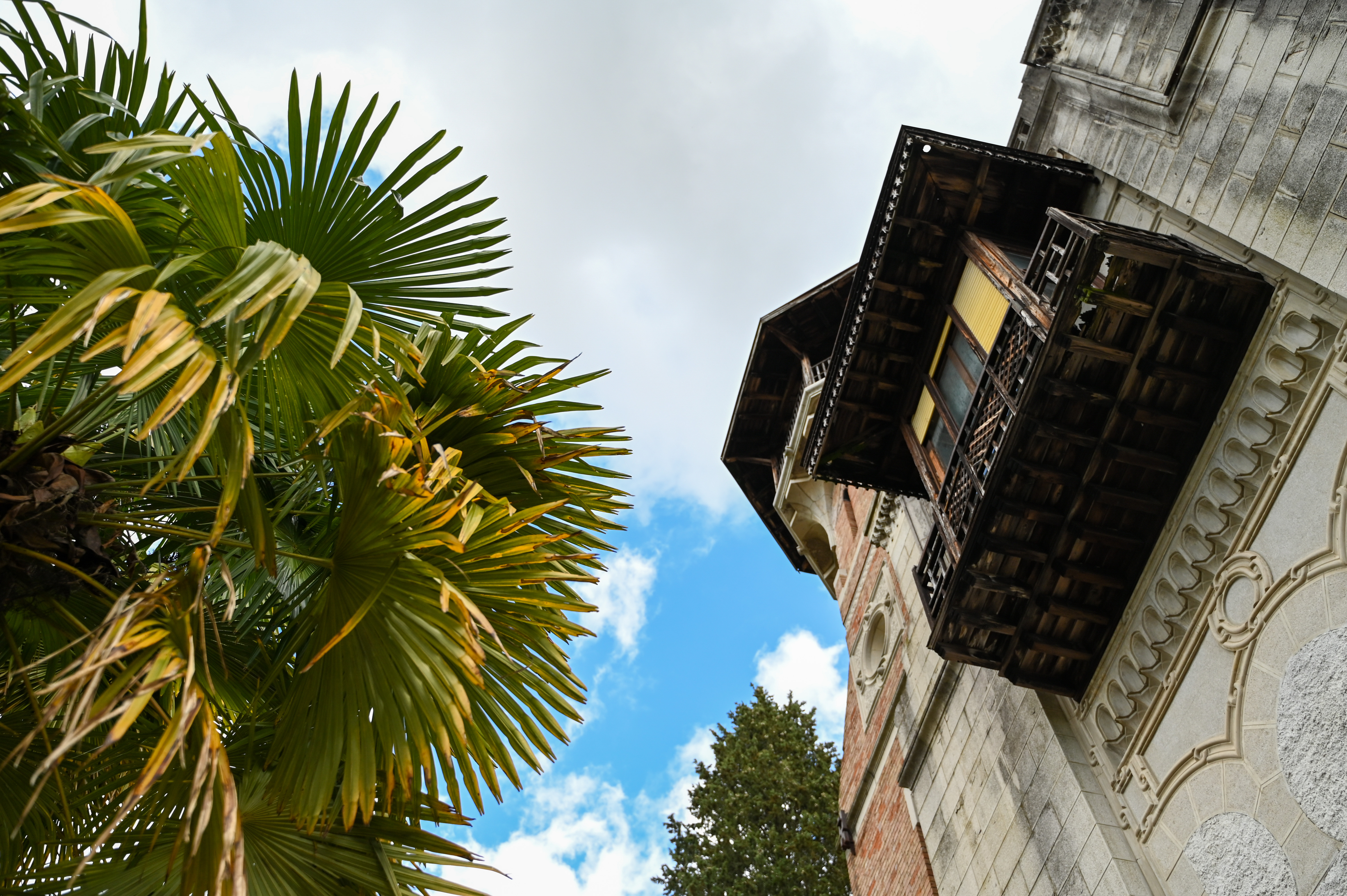 Foto: Denis Sadiković/N1