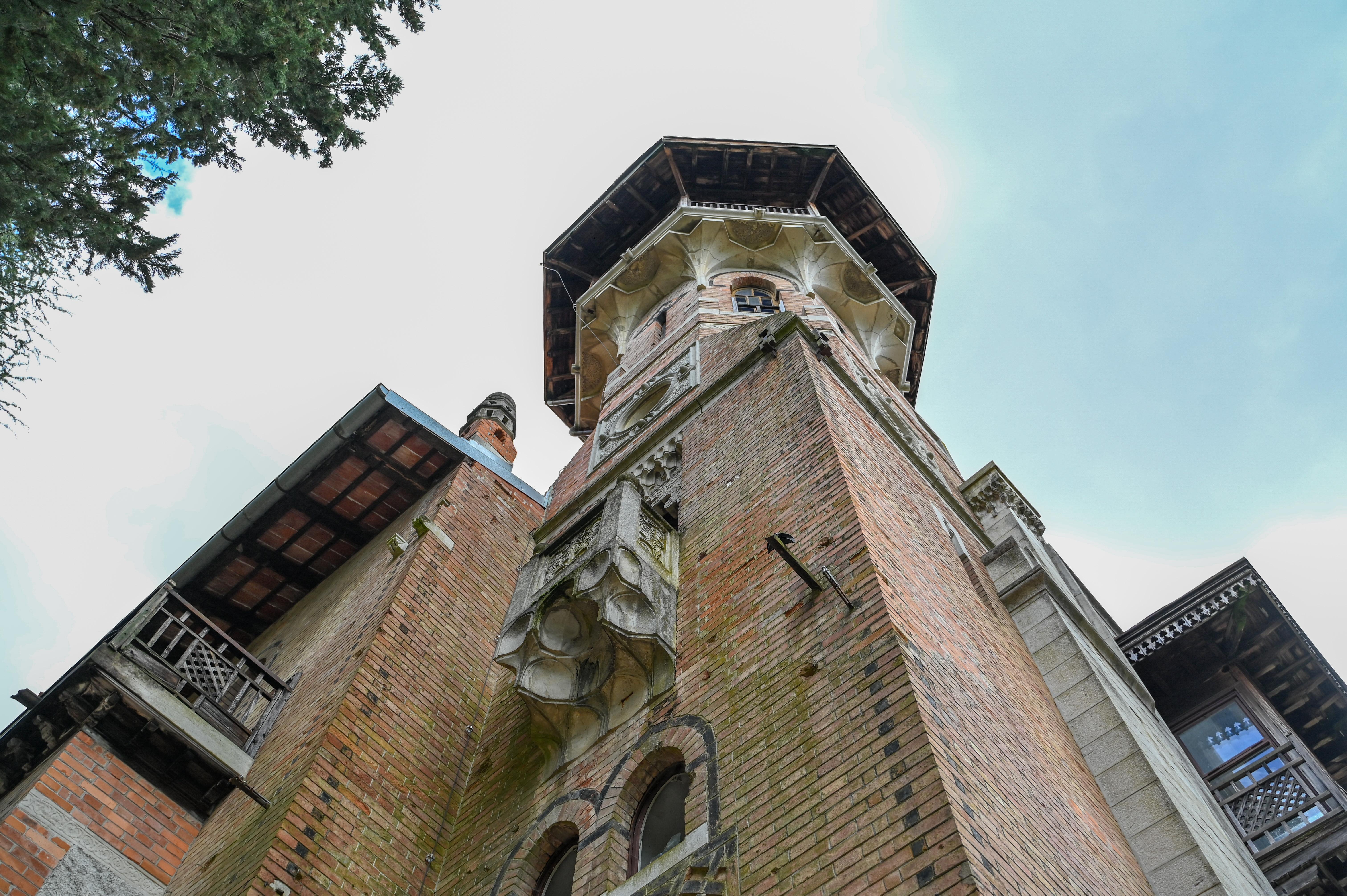 Foto: Denis Sadiković/N1