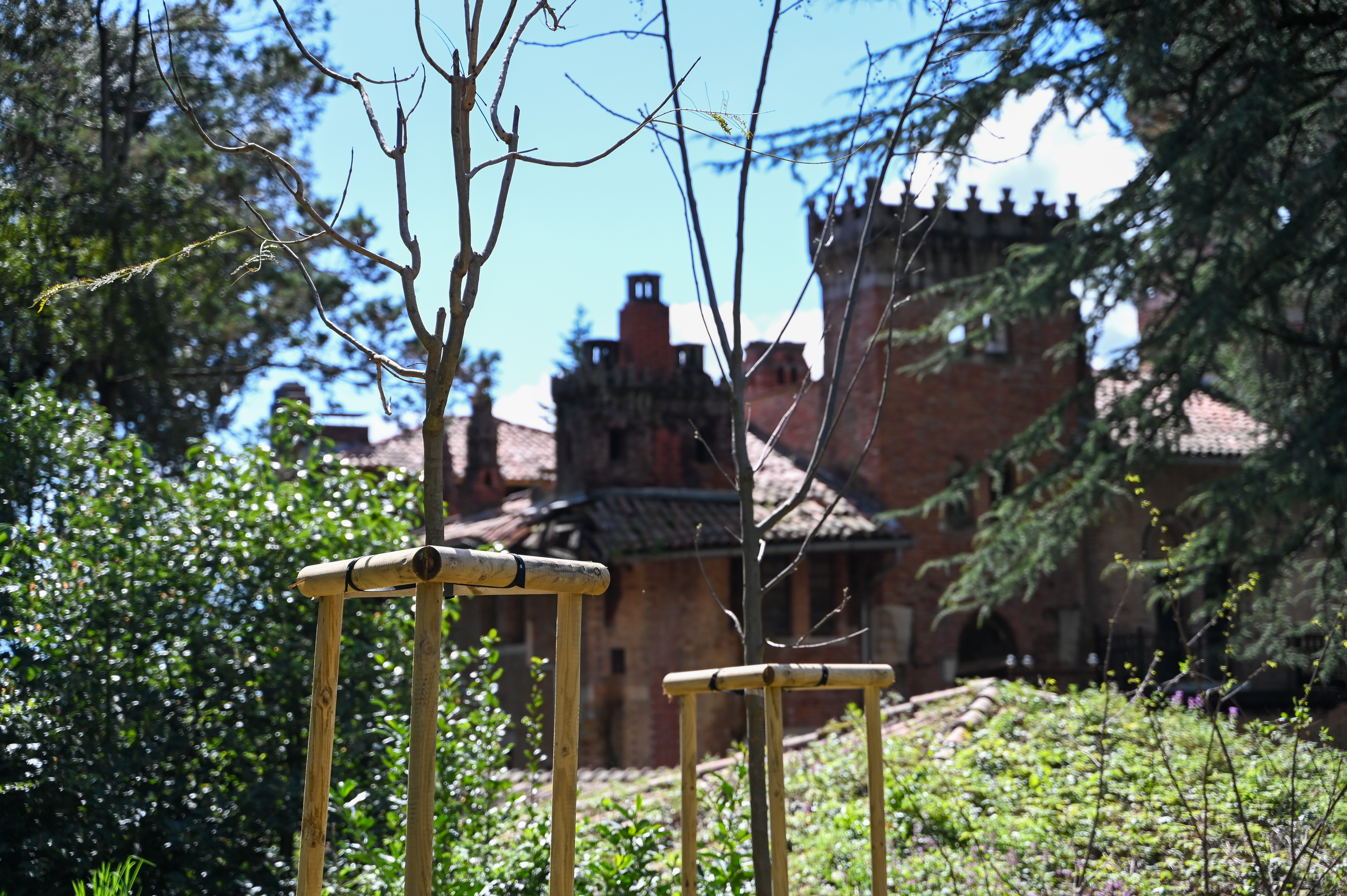 Foto: Denis Sadiković/N1