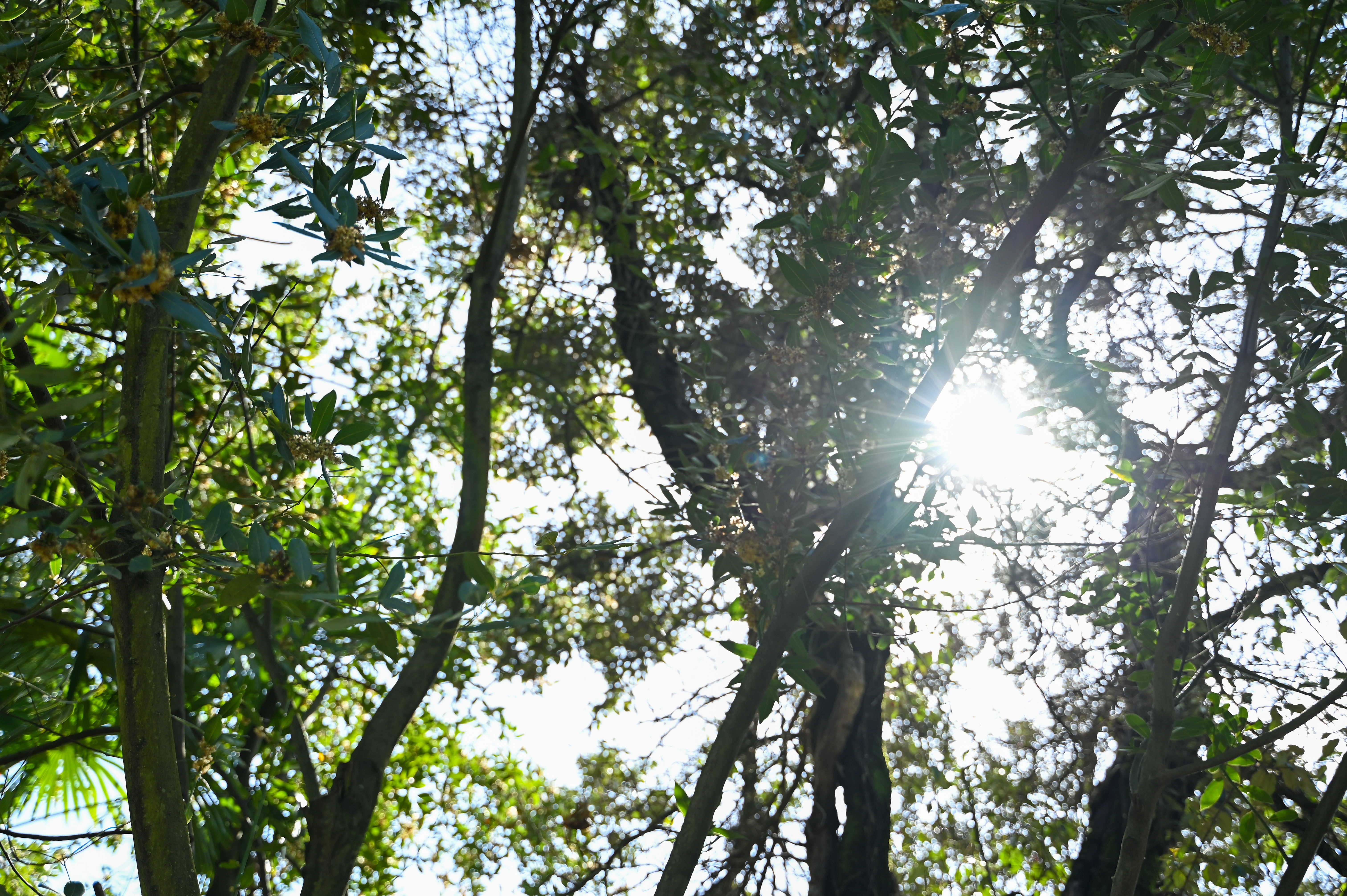 Foto: Denis Sadiković/N1