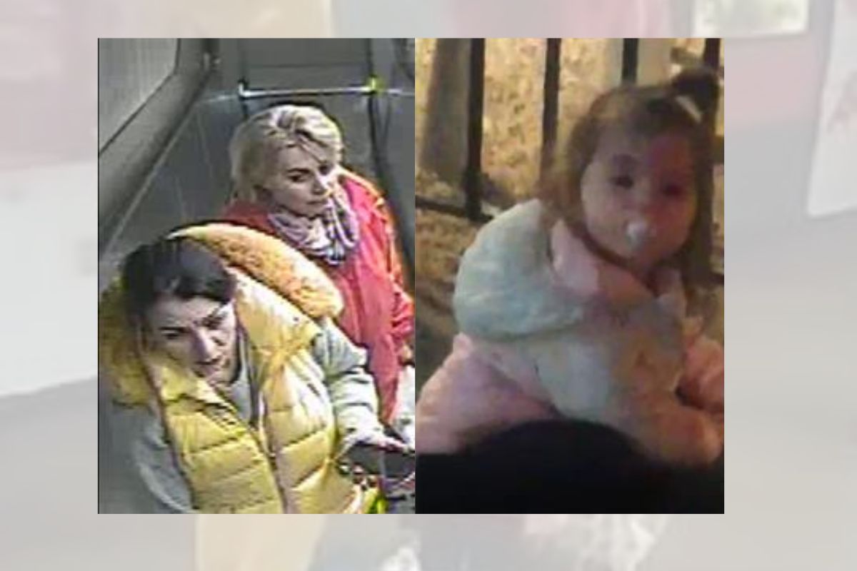 Iskani osebi Danka Ilić