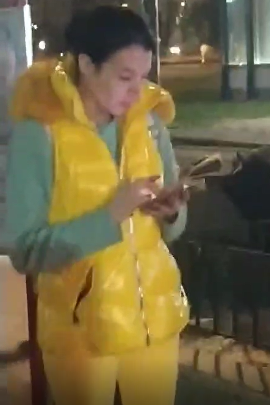 osumljenka, danka ilić, dunaj