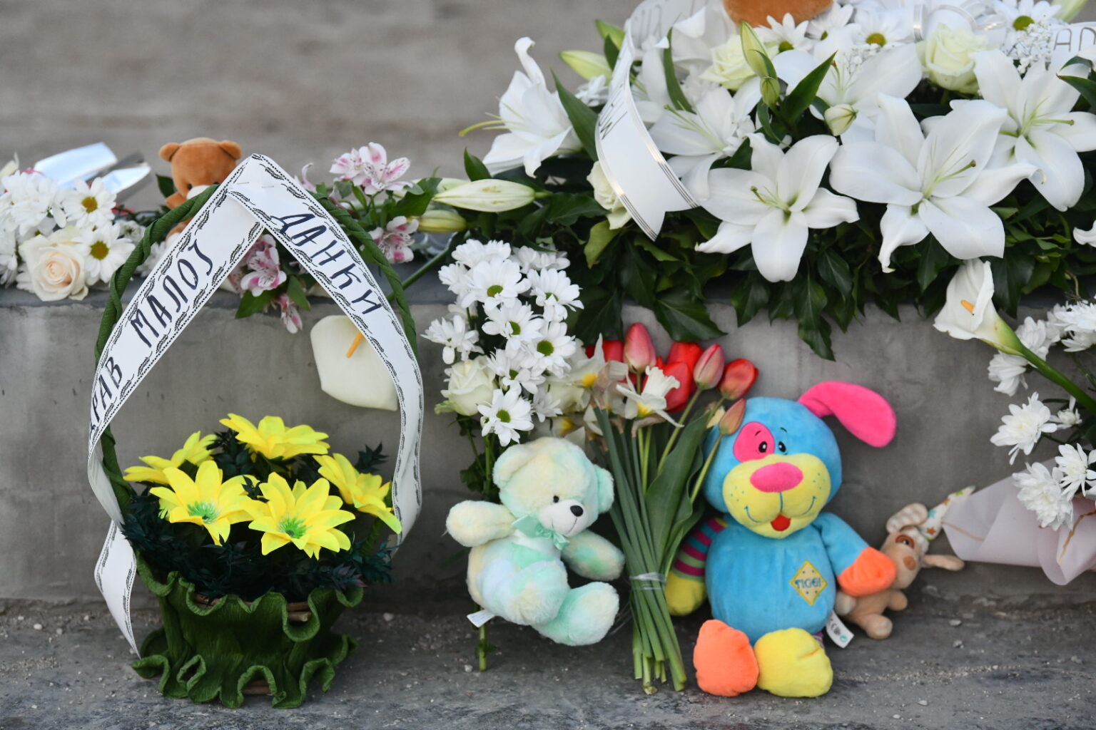 sveče, cvetje, danka ilić