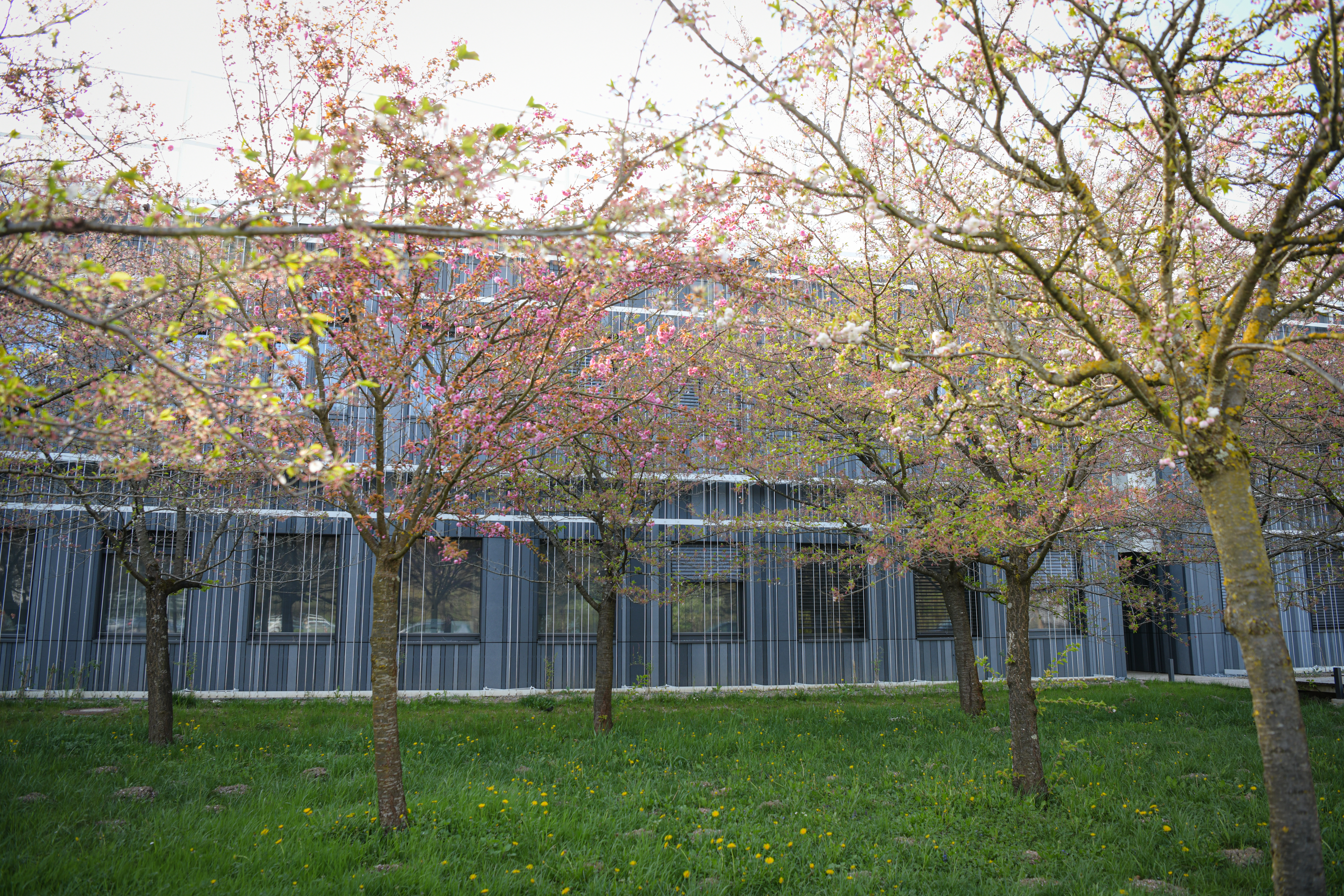 Foto: Uroš Kokol/N1