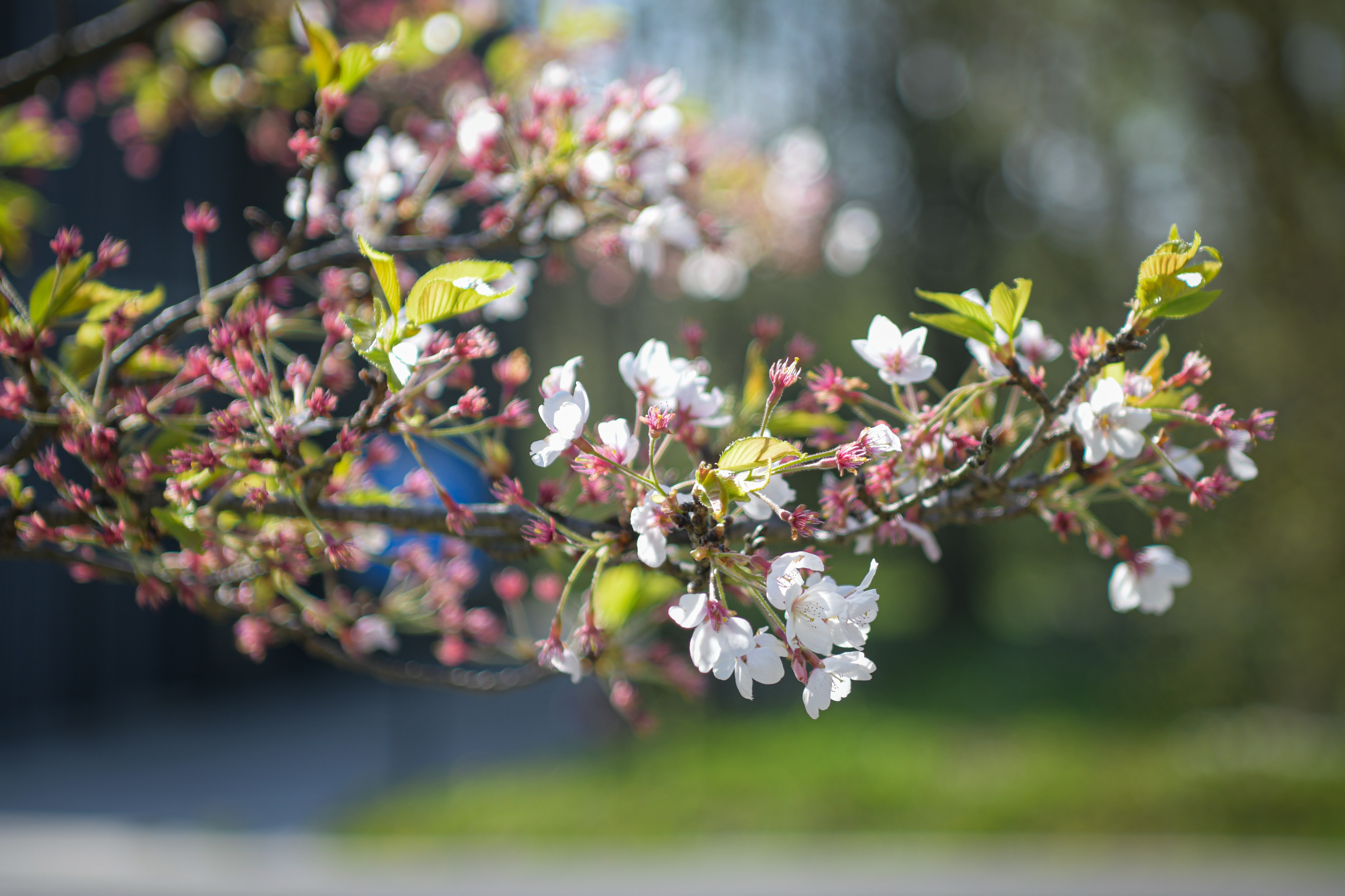 Foto: Uroš Kokol/N1