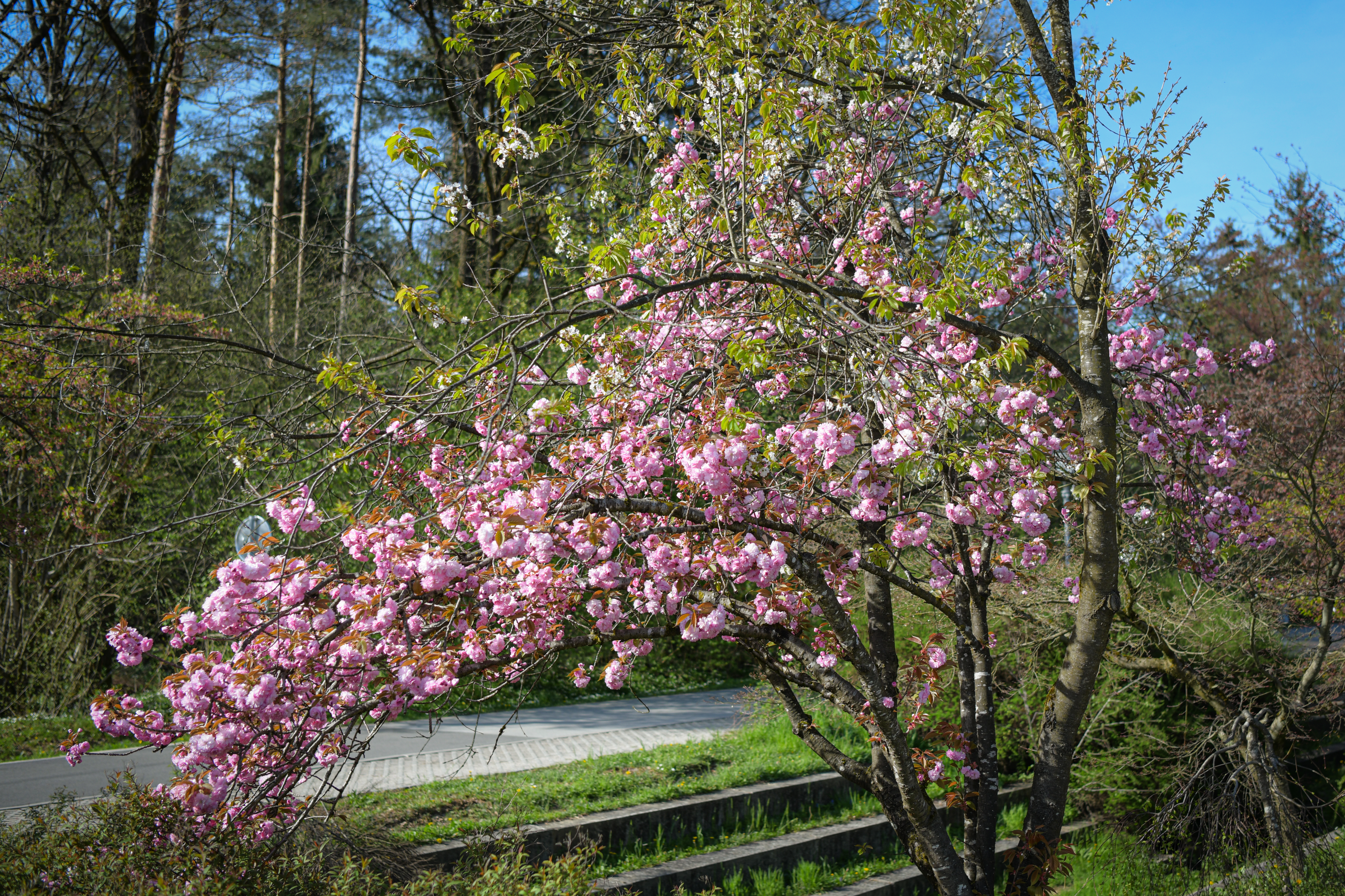 Foto: Uroš Kokol/N1