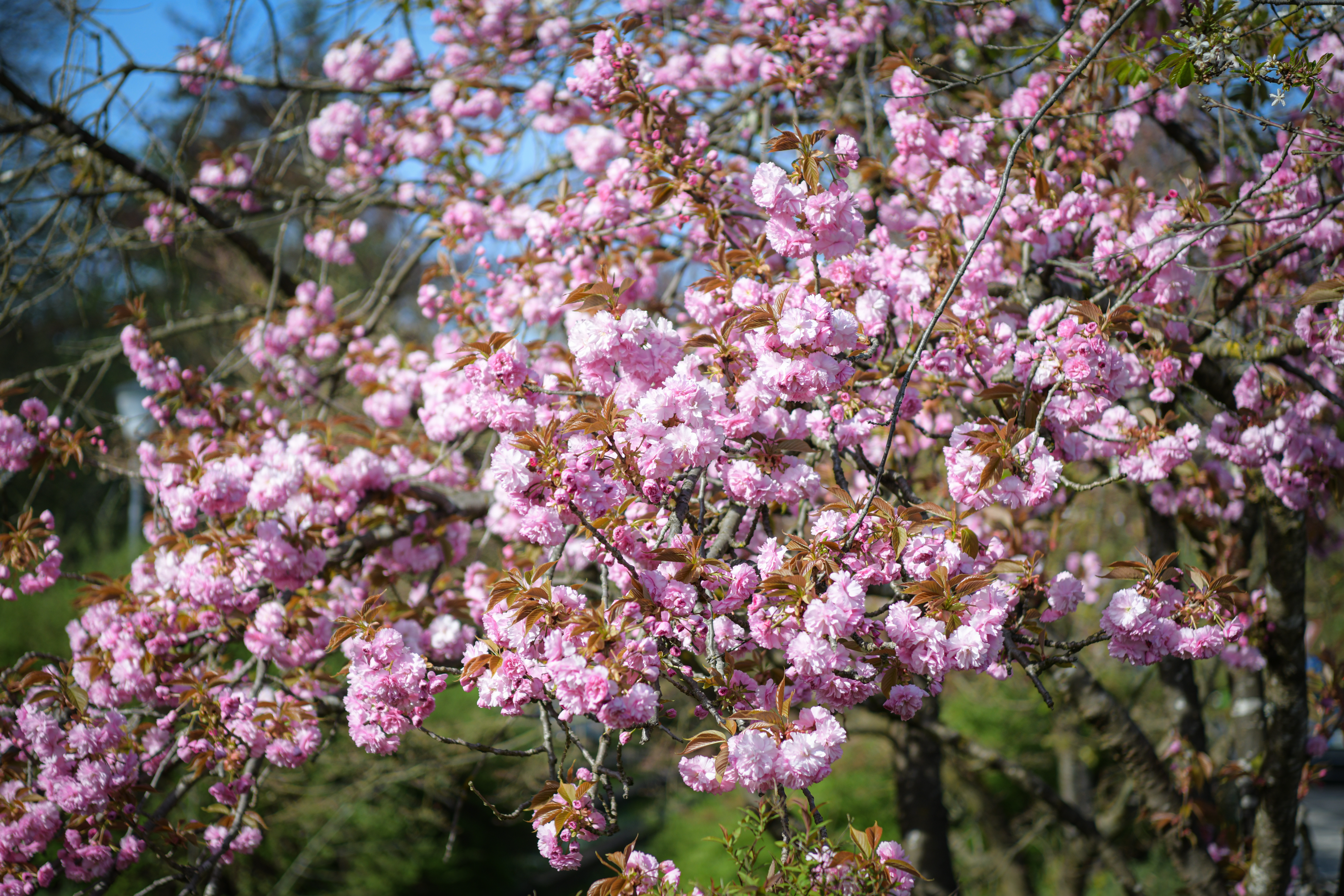 Foto: Uroš Kokol/N1