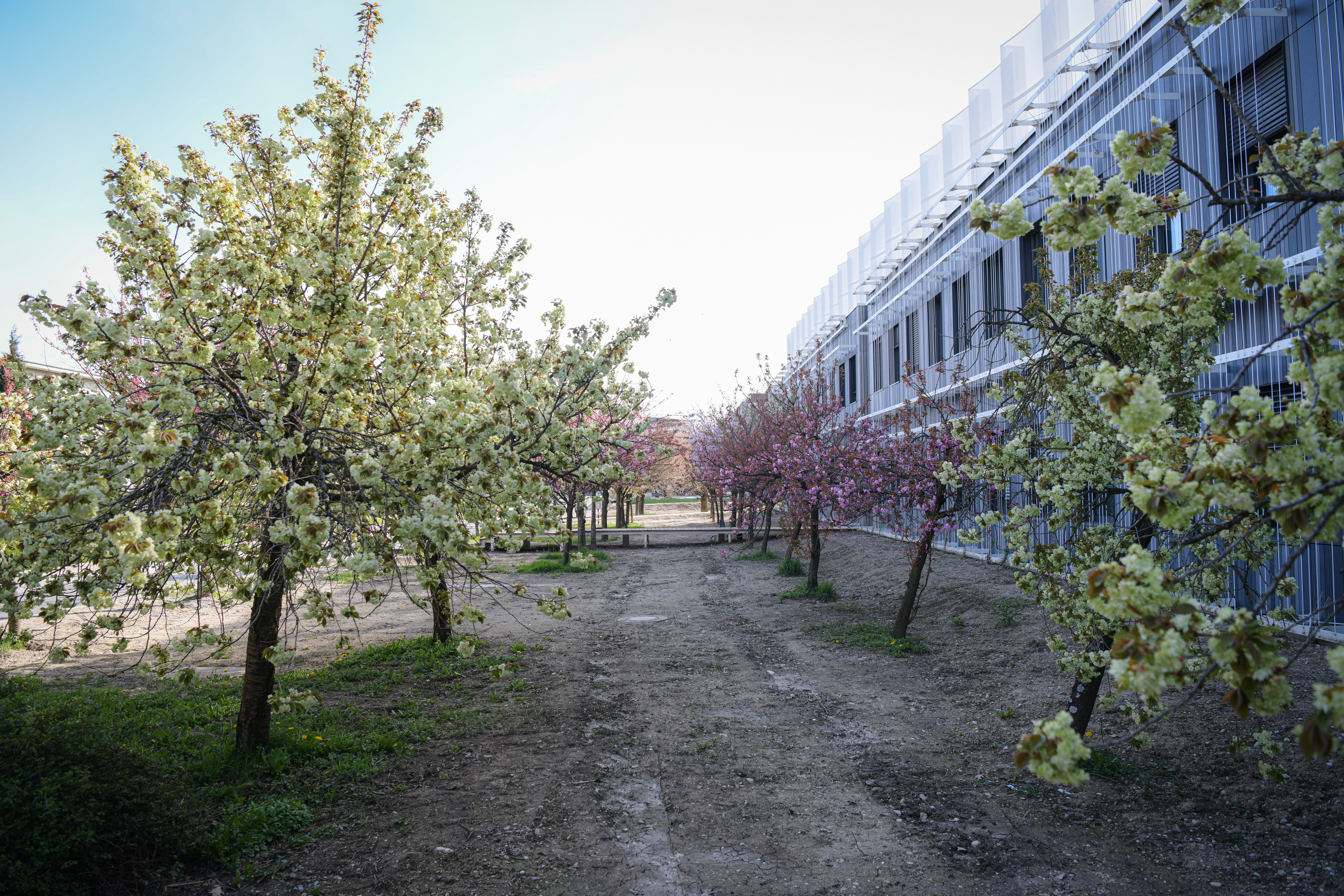 Foto: Uroš Kokol/N1