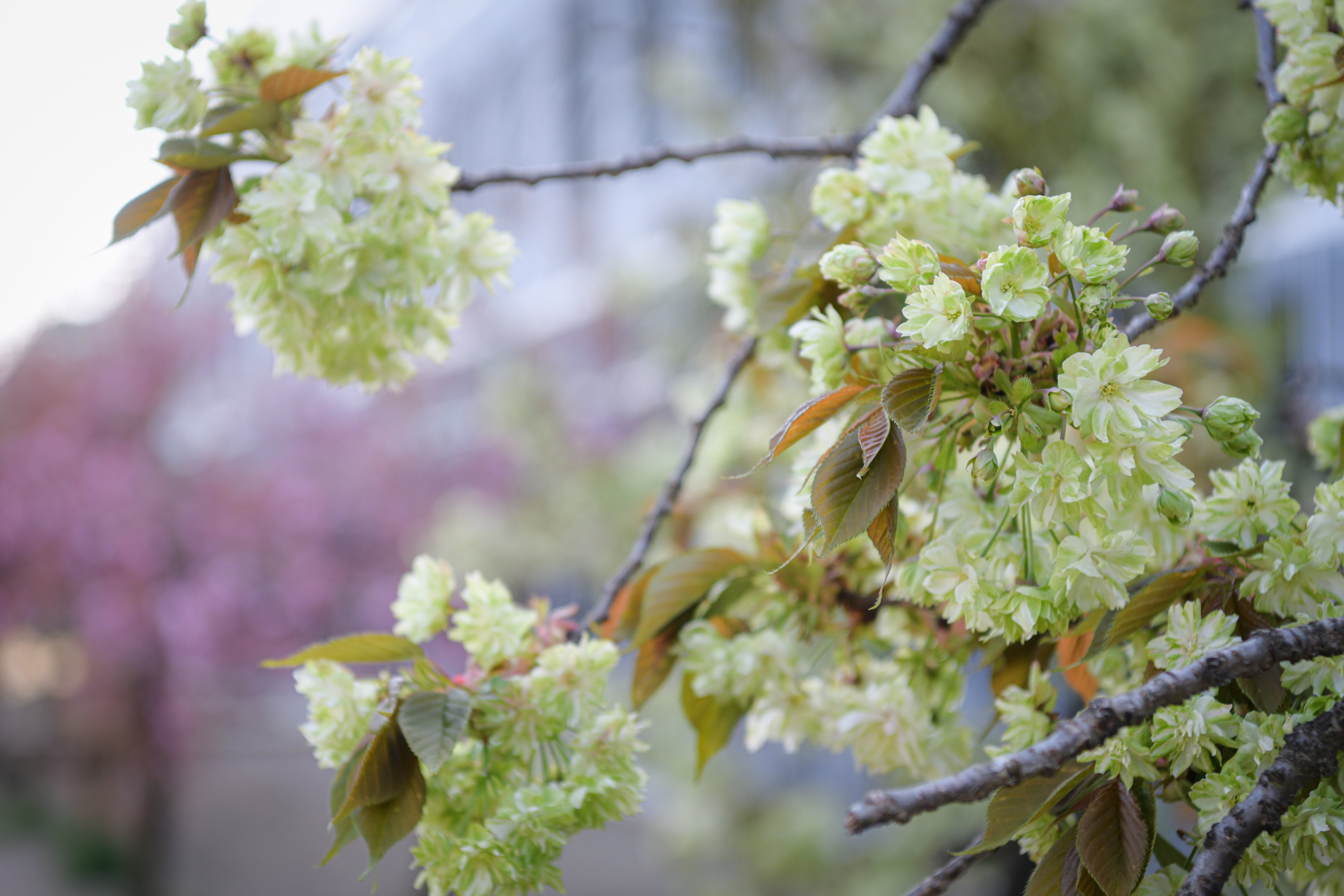 Foto: Uroš Kokol/N1