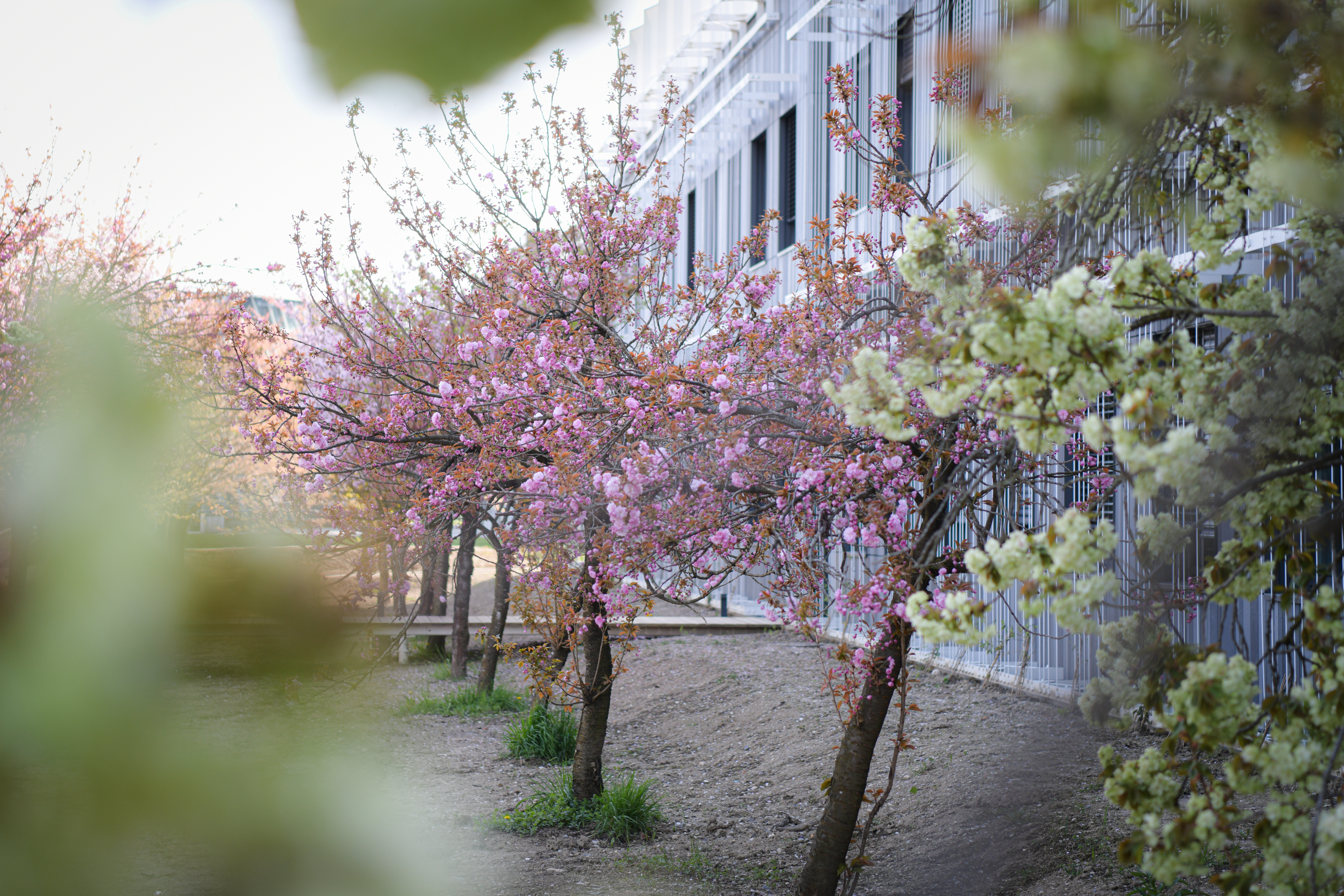 Foto: Uroš Kokol/N1