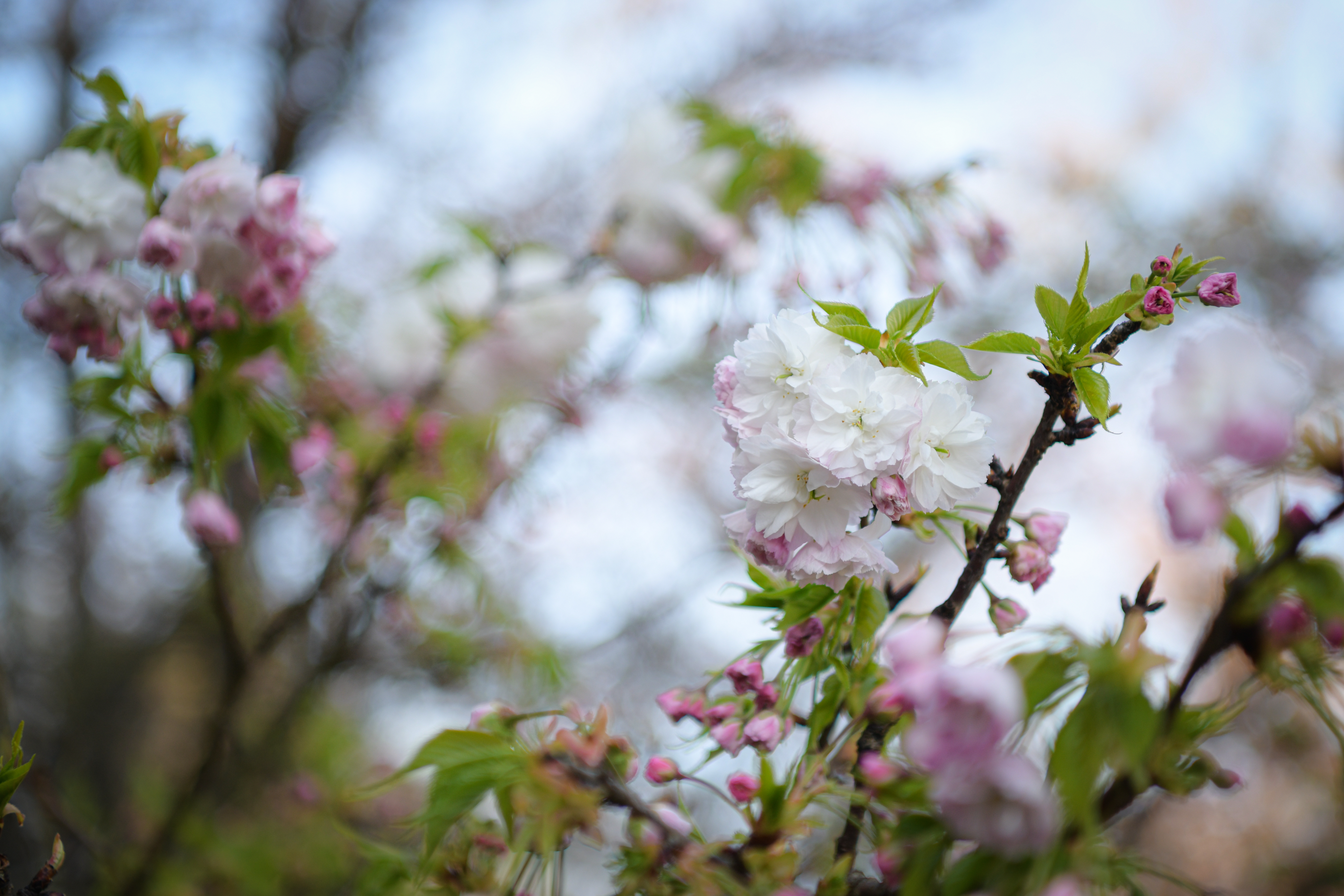 Foto: Uroš Kokol/N1