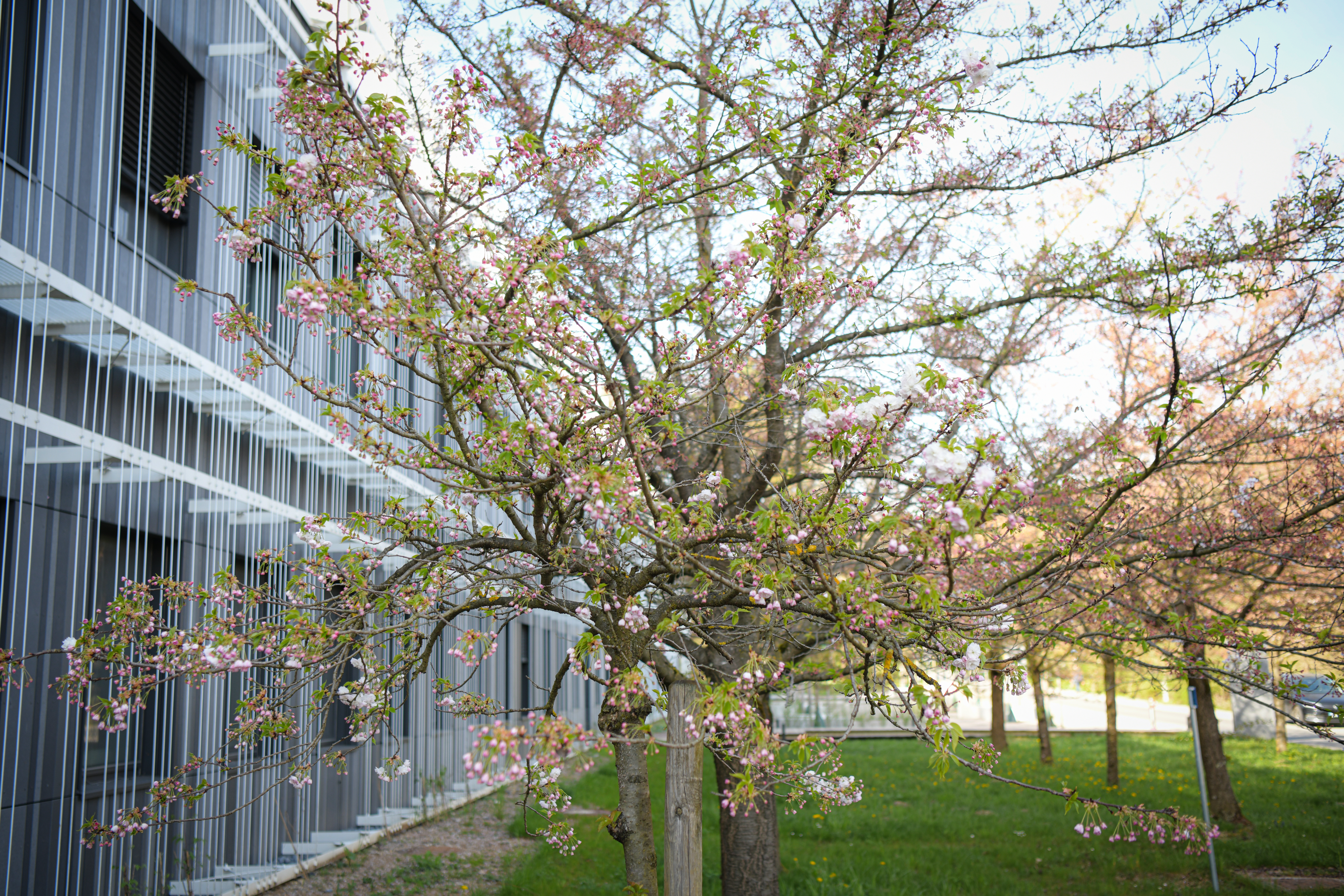 Foto: Uroš Kokol/N1