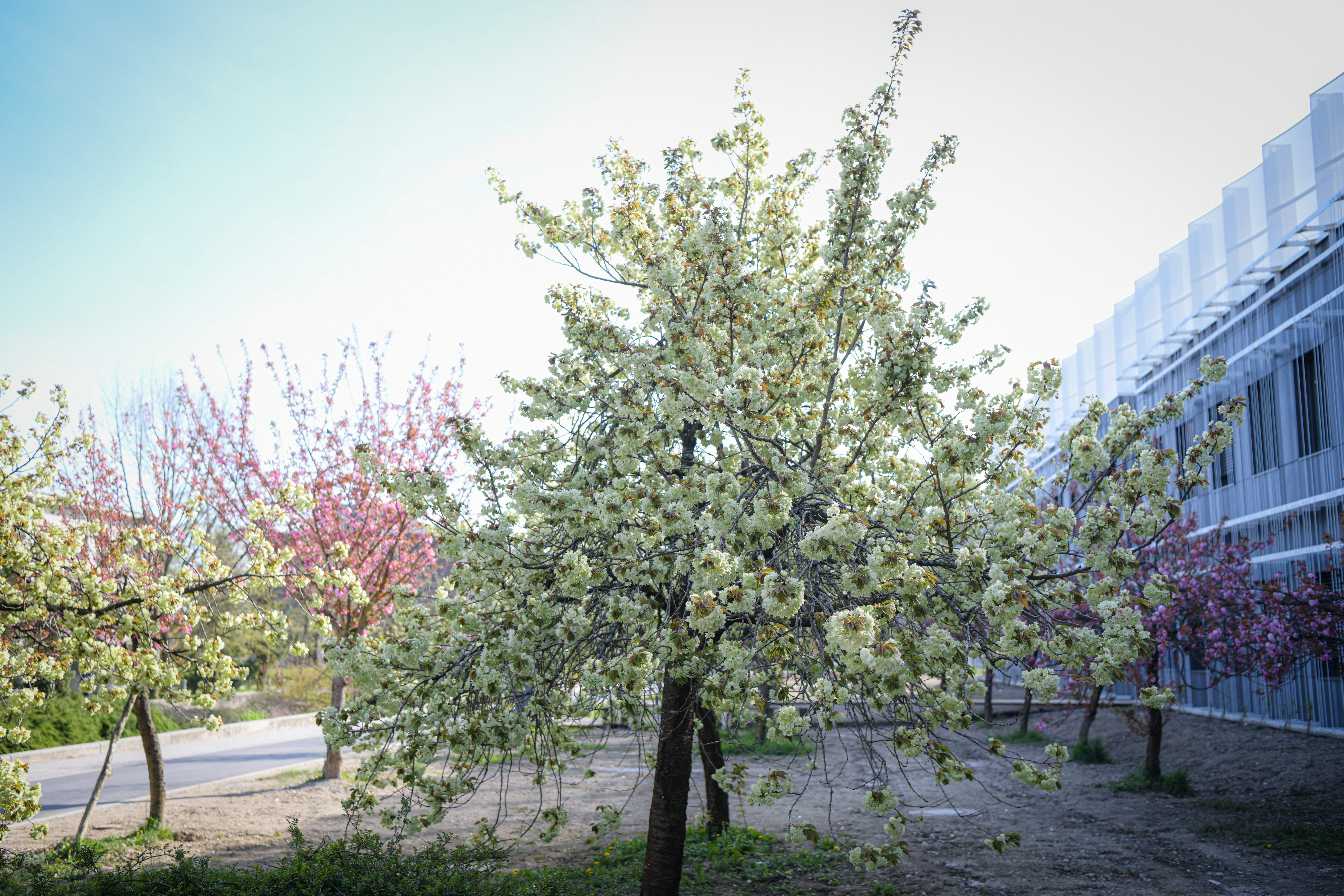 Foto: Uroš Kokol/N1