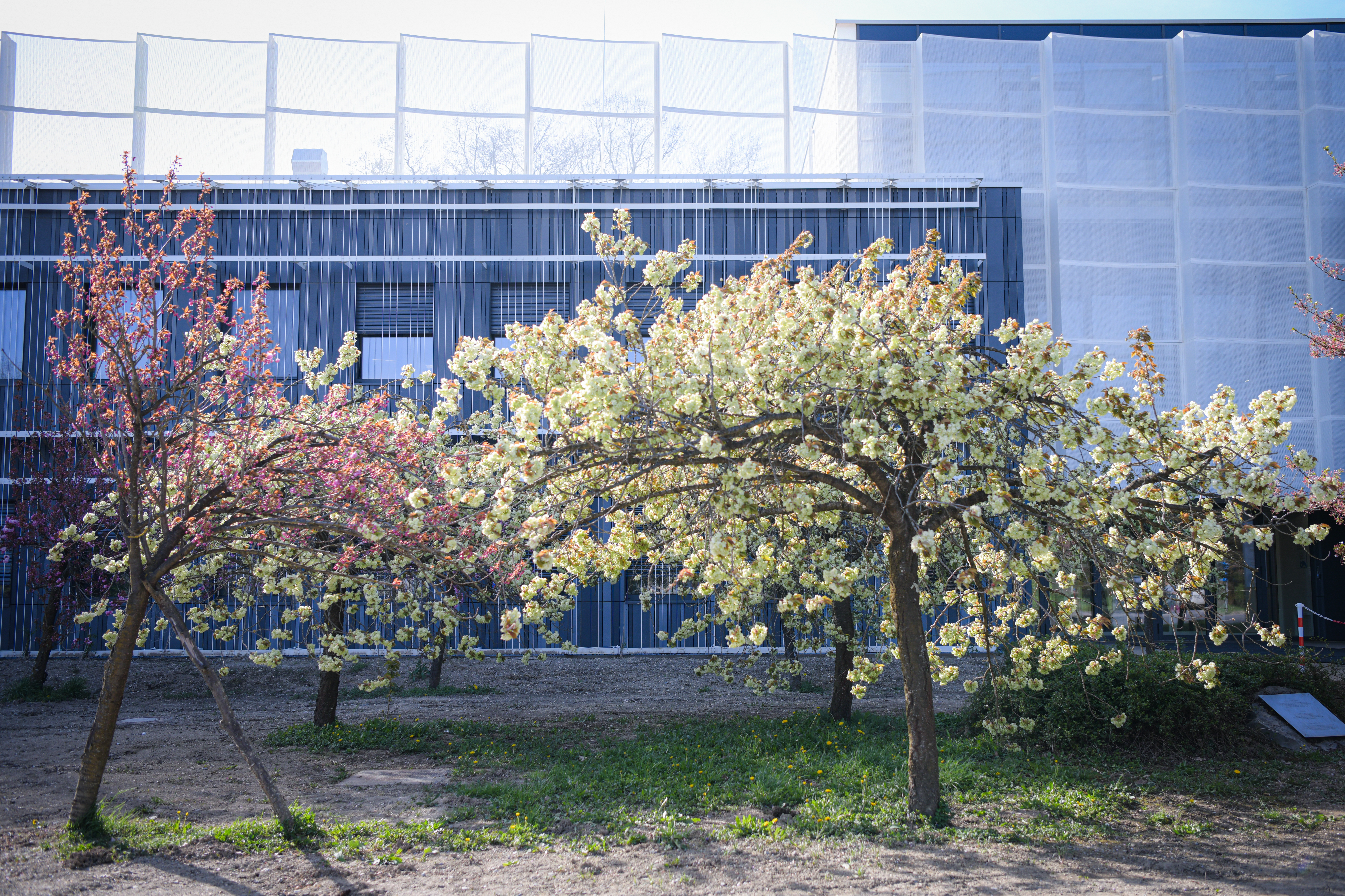 Foto: Uroš Kokol/N1