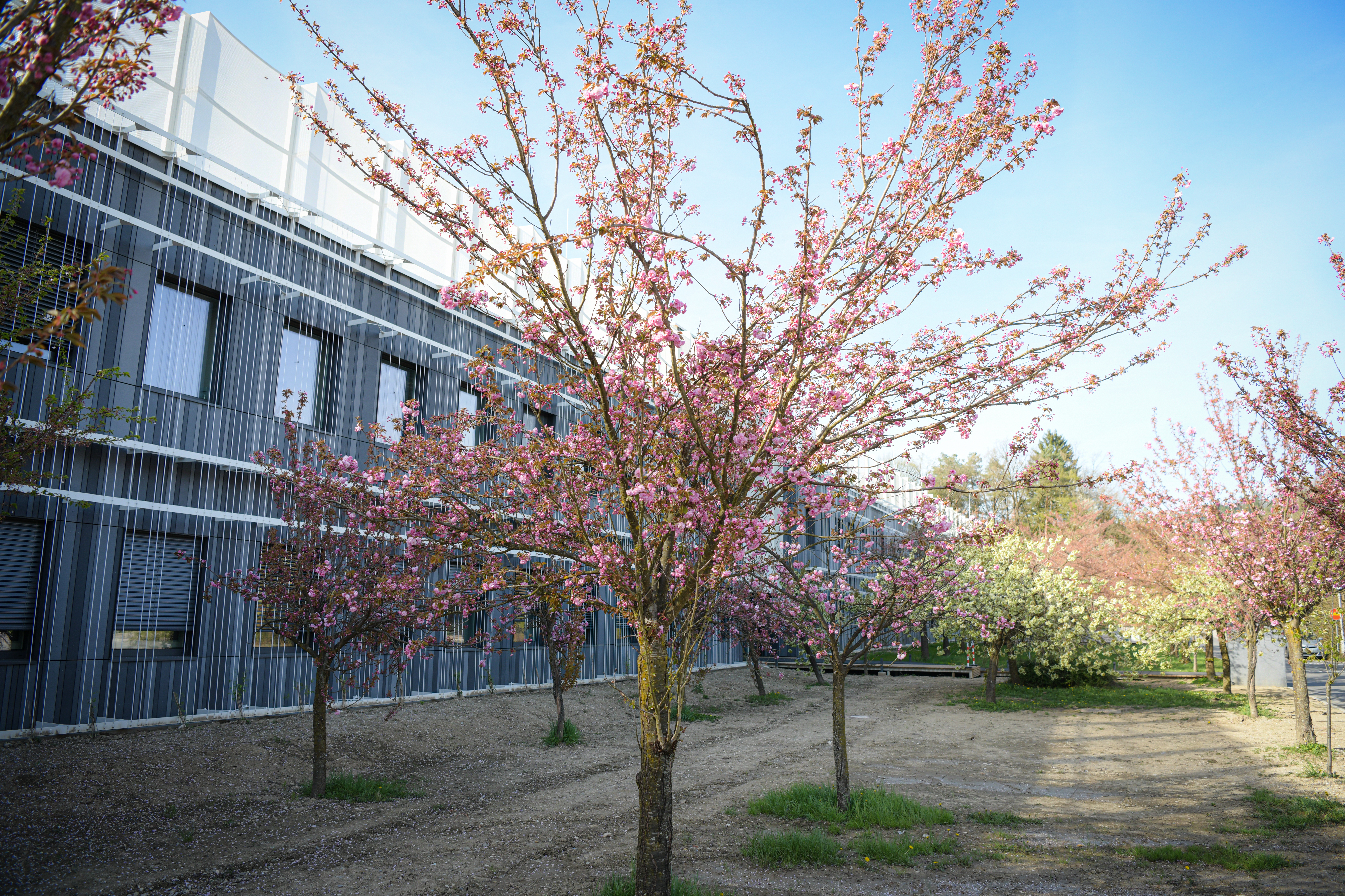 Foto: Uroš Kokol/N1