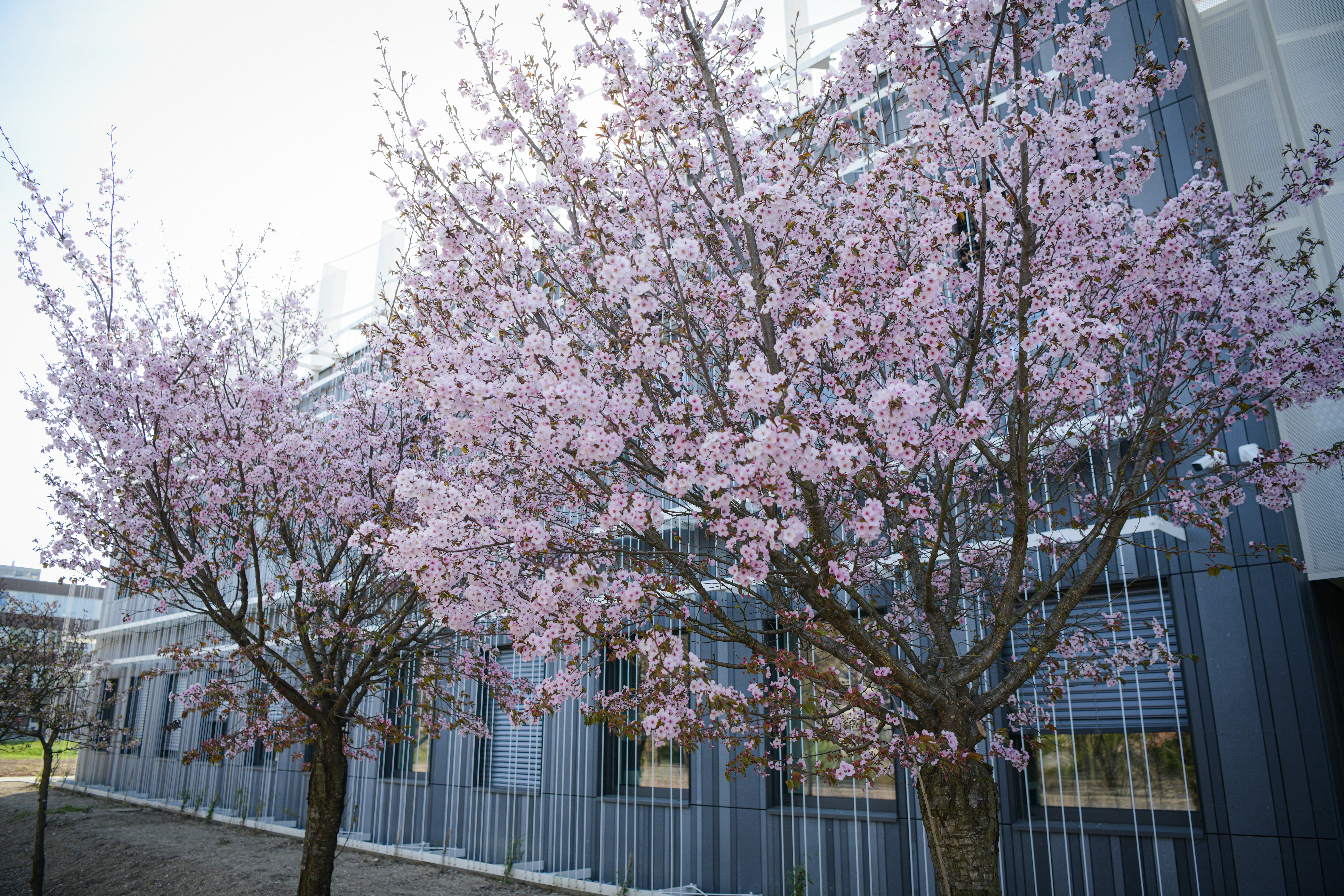 Foto: Uroš Kokol/N1