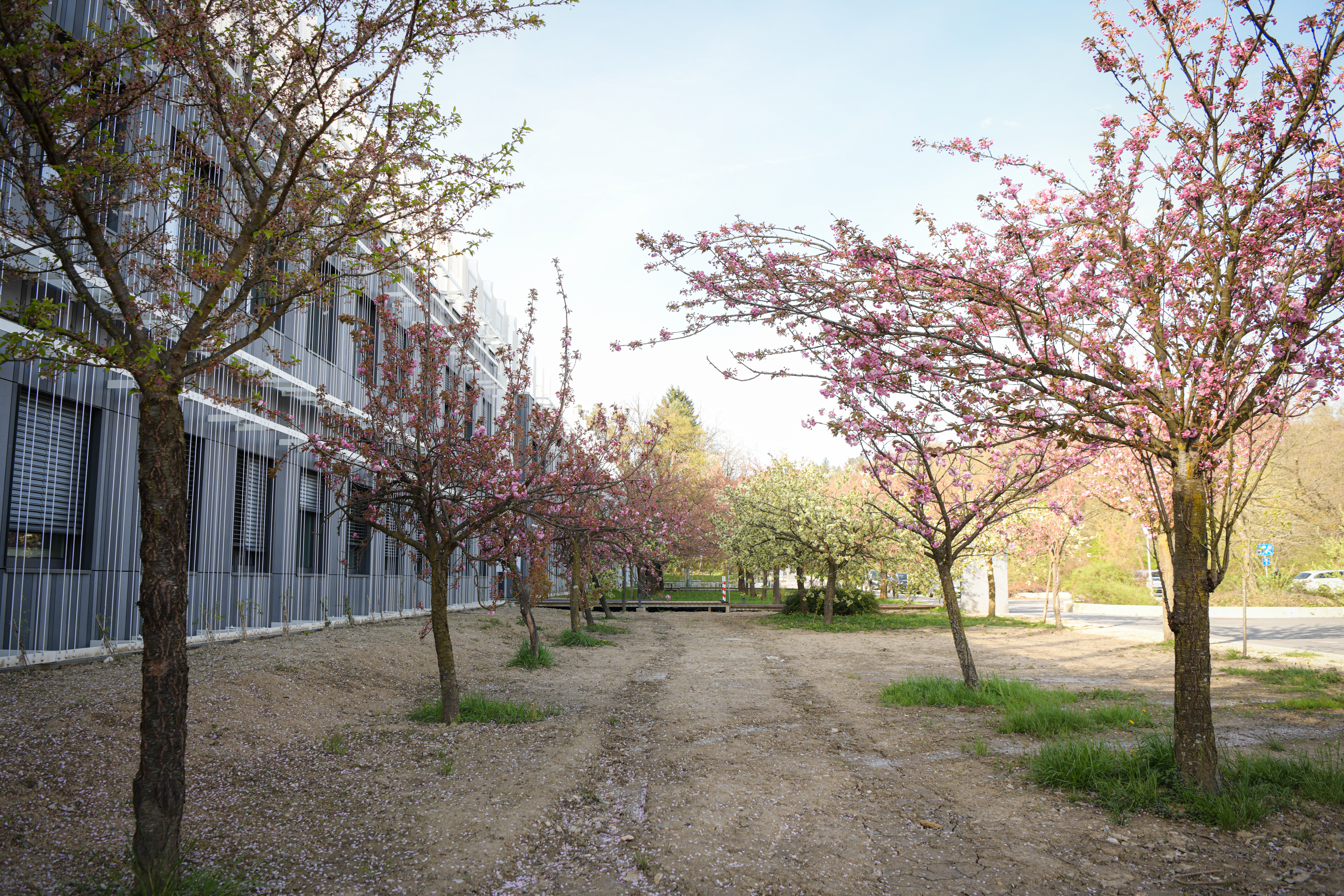 Foto: Uroš Kokol/N1