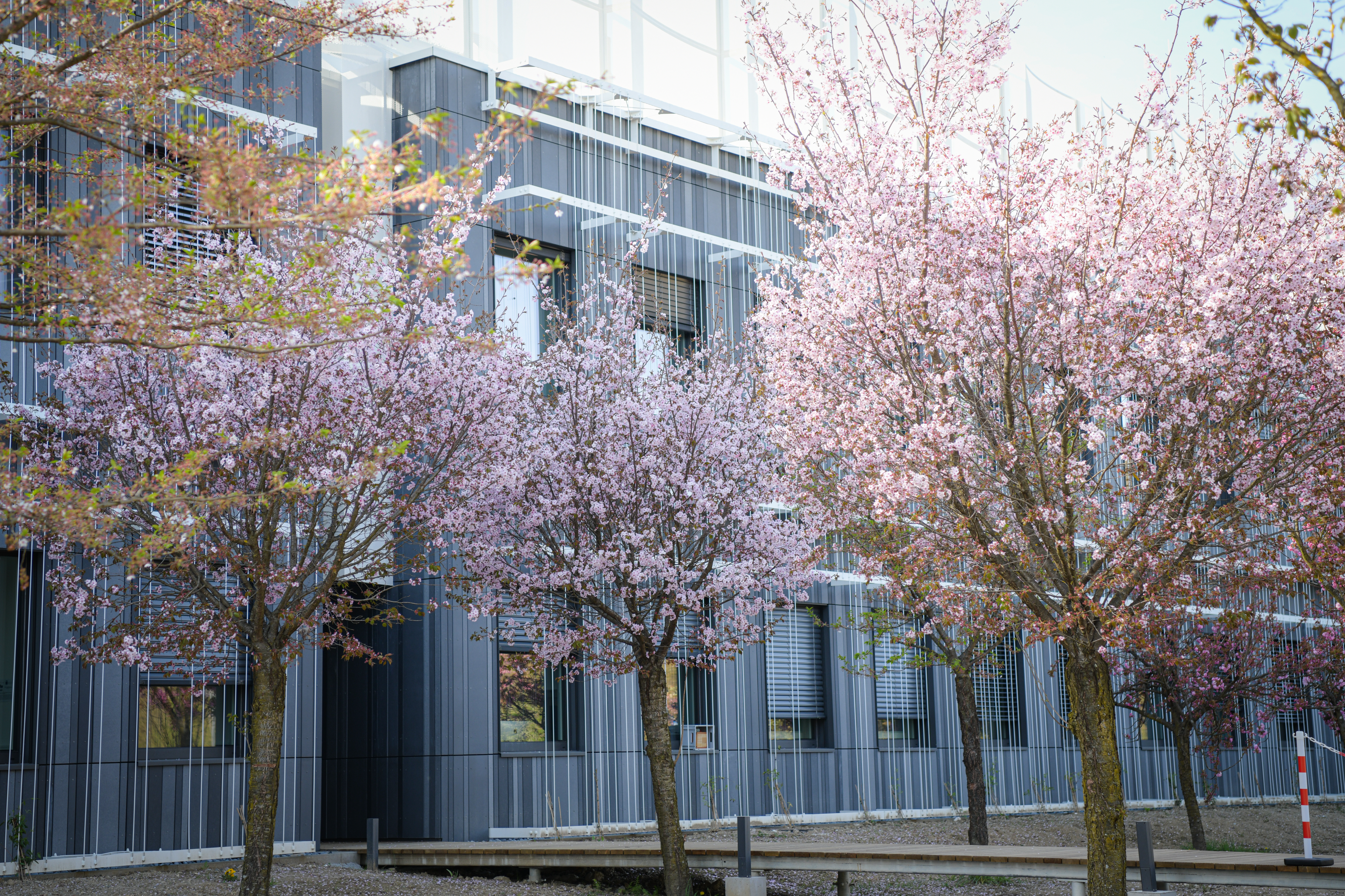 Foto: Uroš Kokol/N1