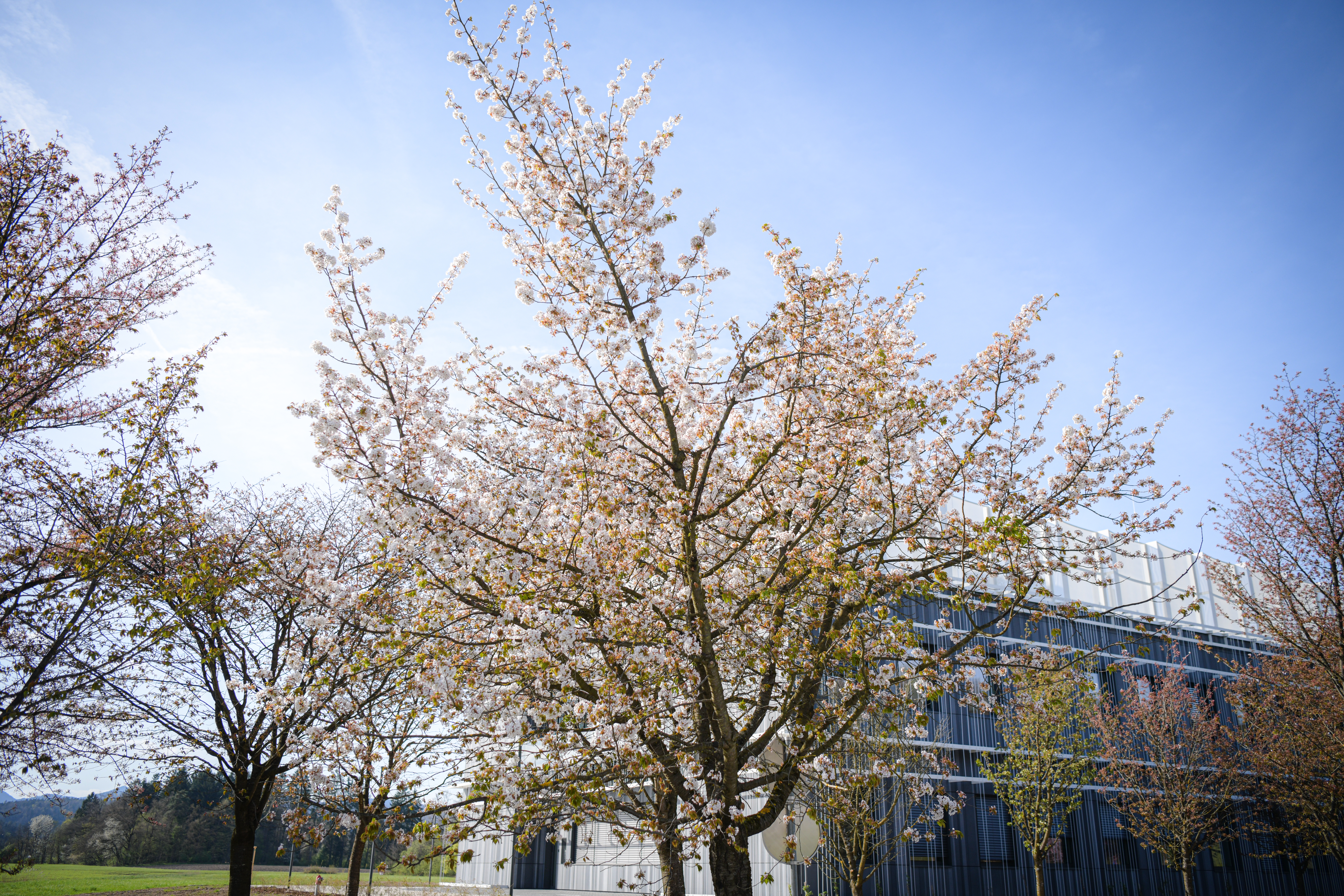 Foto: Uroš Kokol/N1