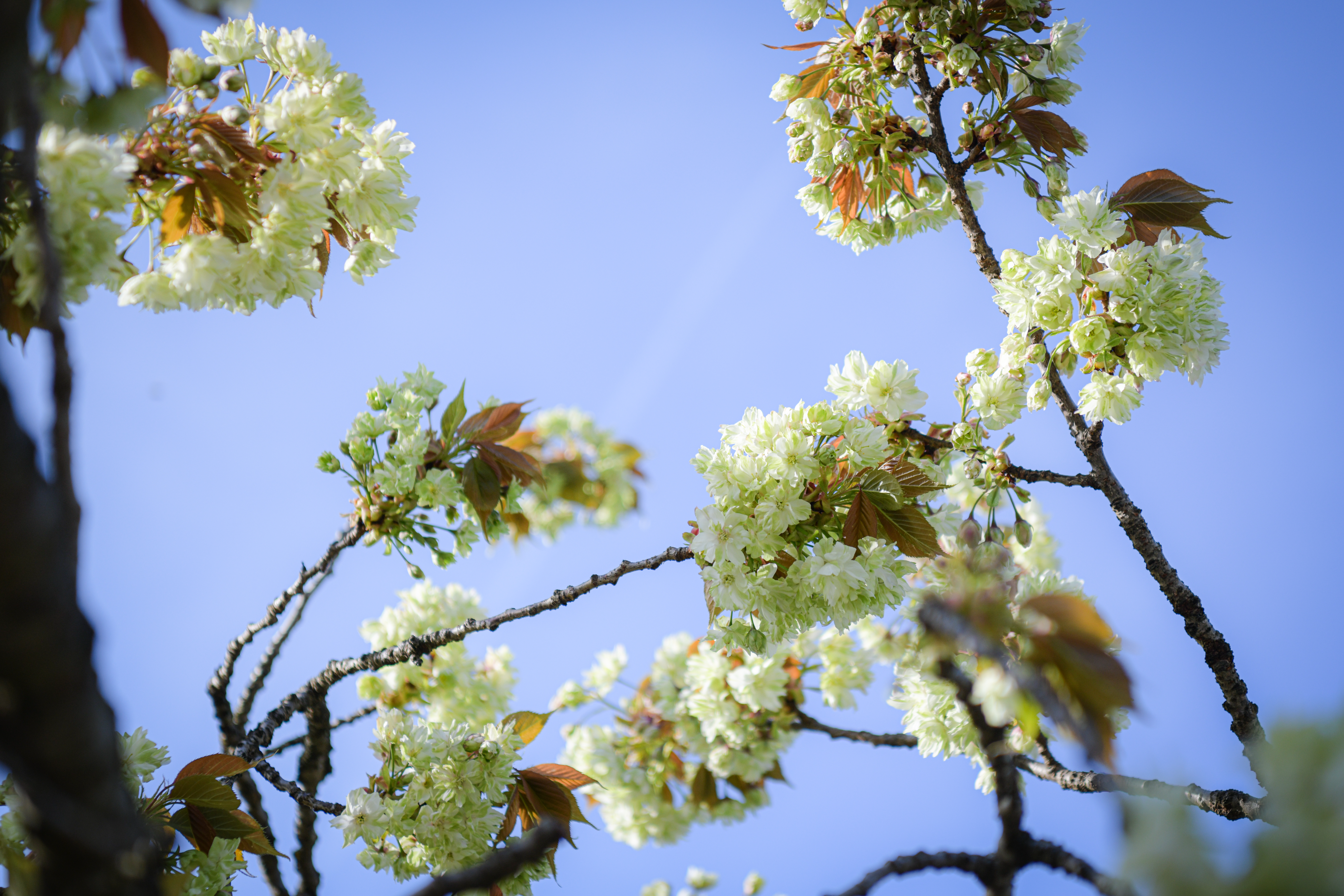 Foto: Uroš Kokol/N1