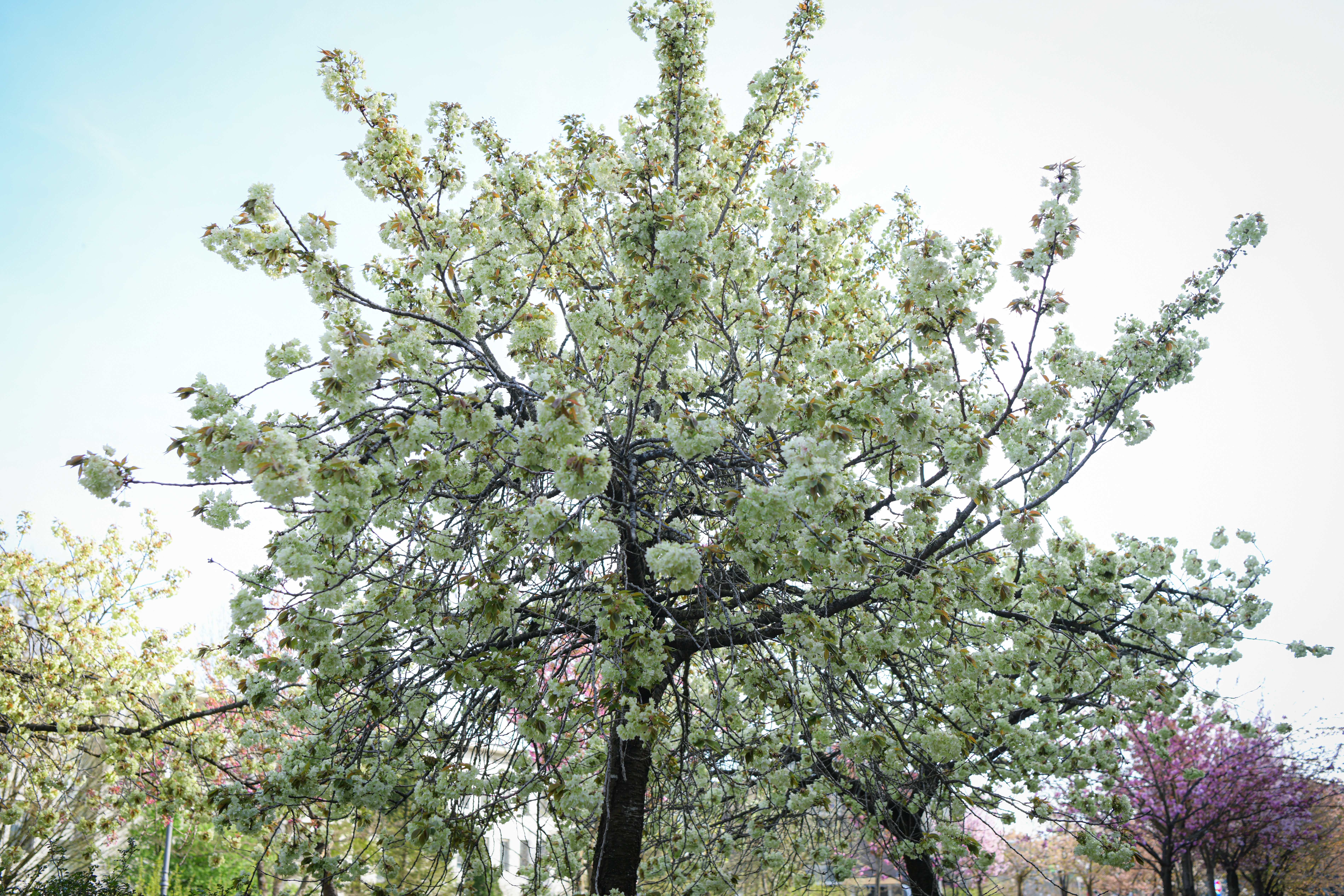 Foto: Uroš Kokol/N1