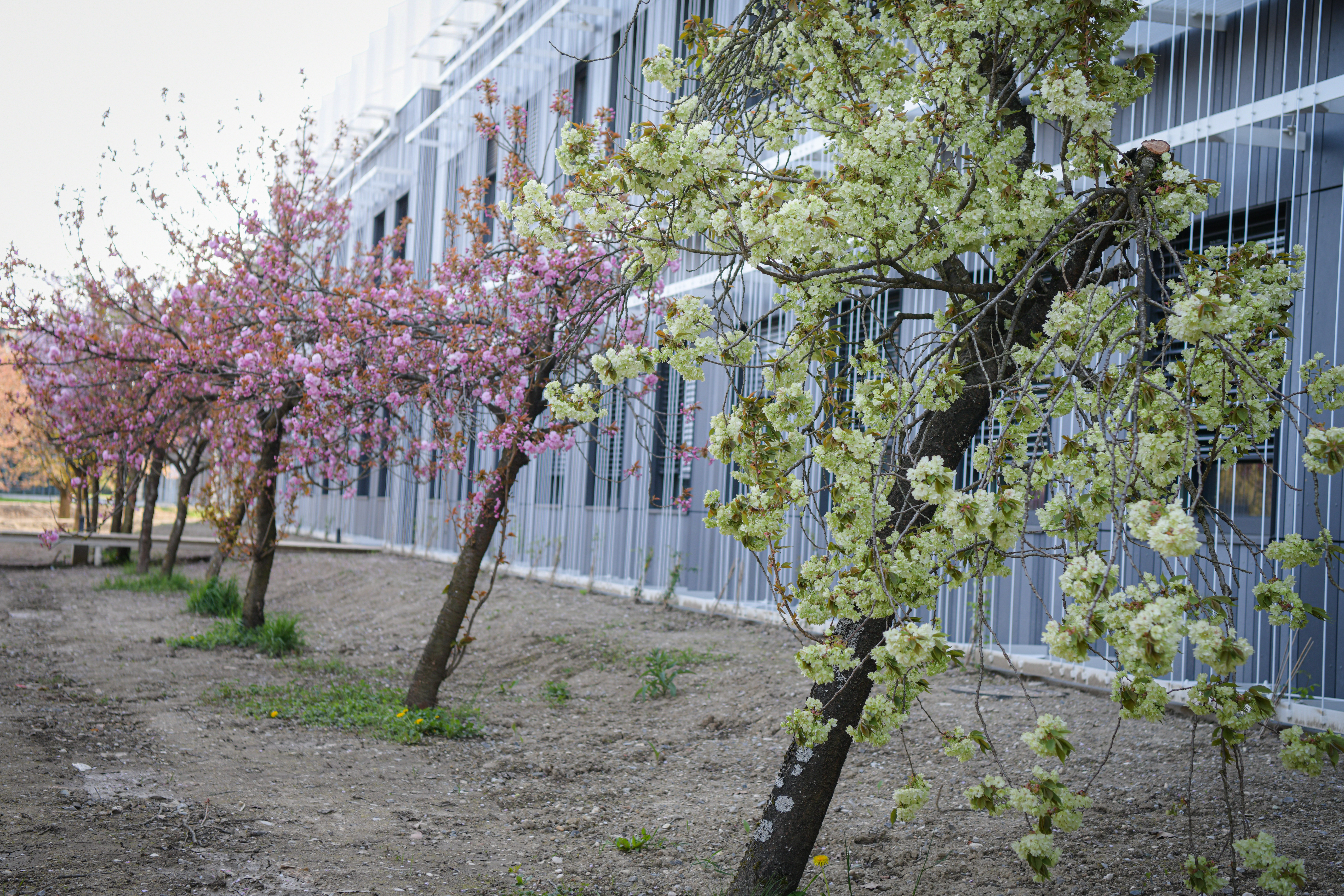 Foto: Uroš Kokol/N1