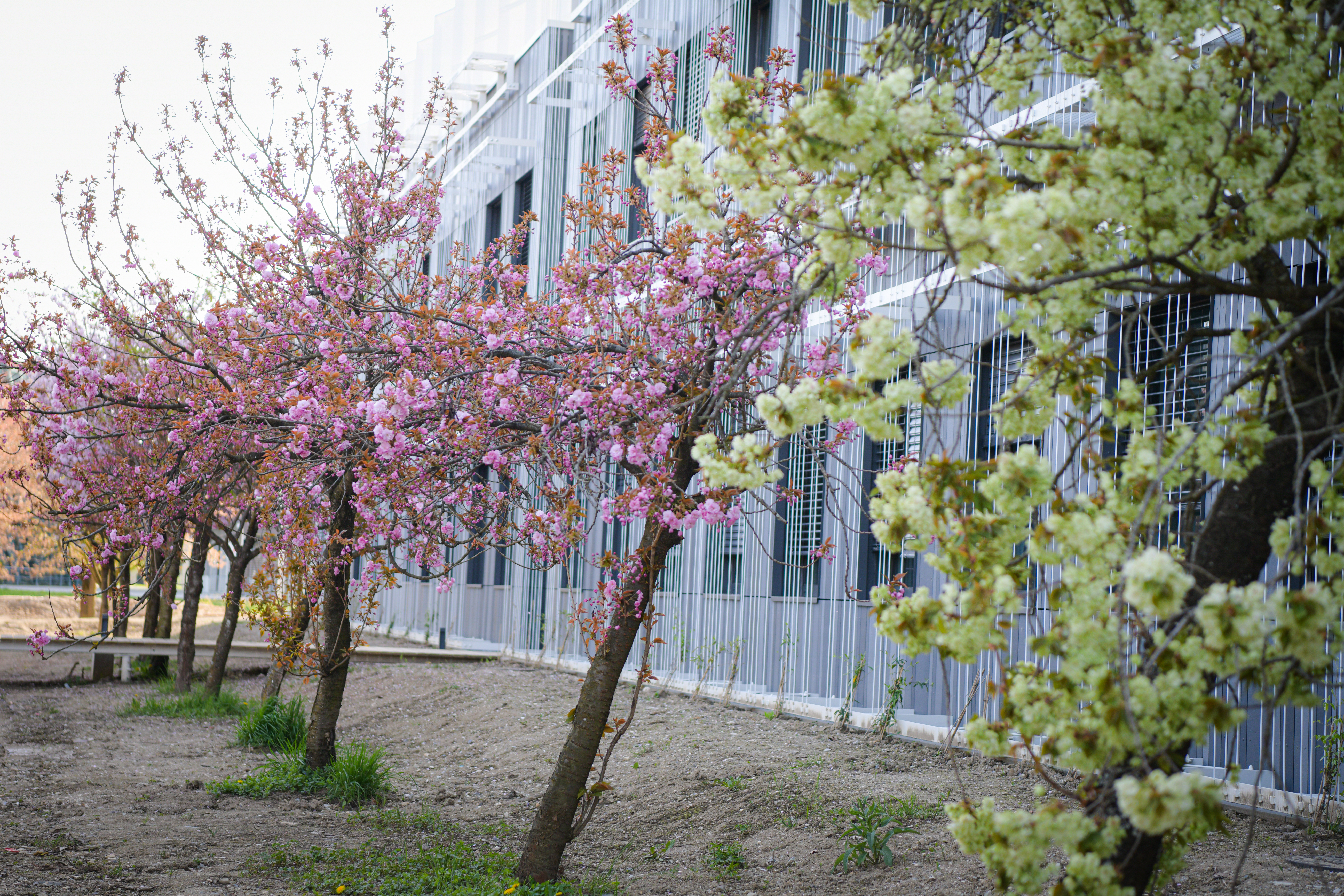 Foto: Uroš Kokol/N1