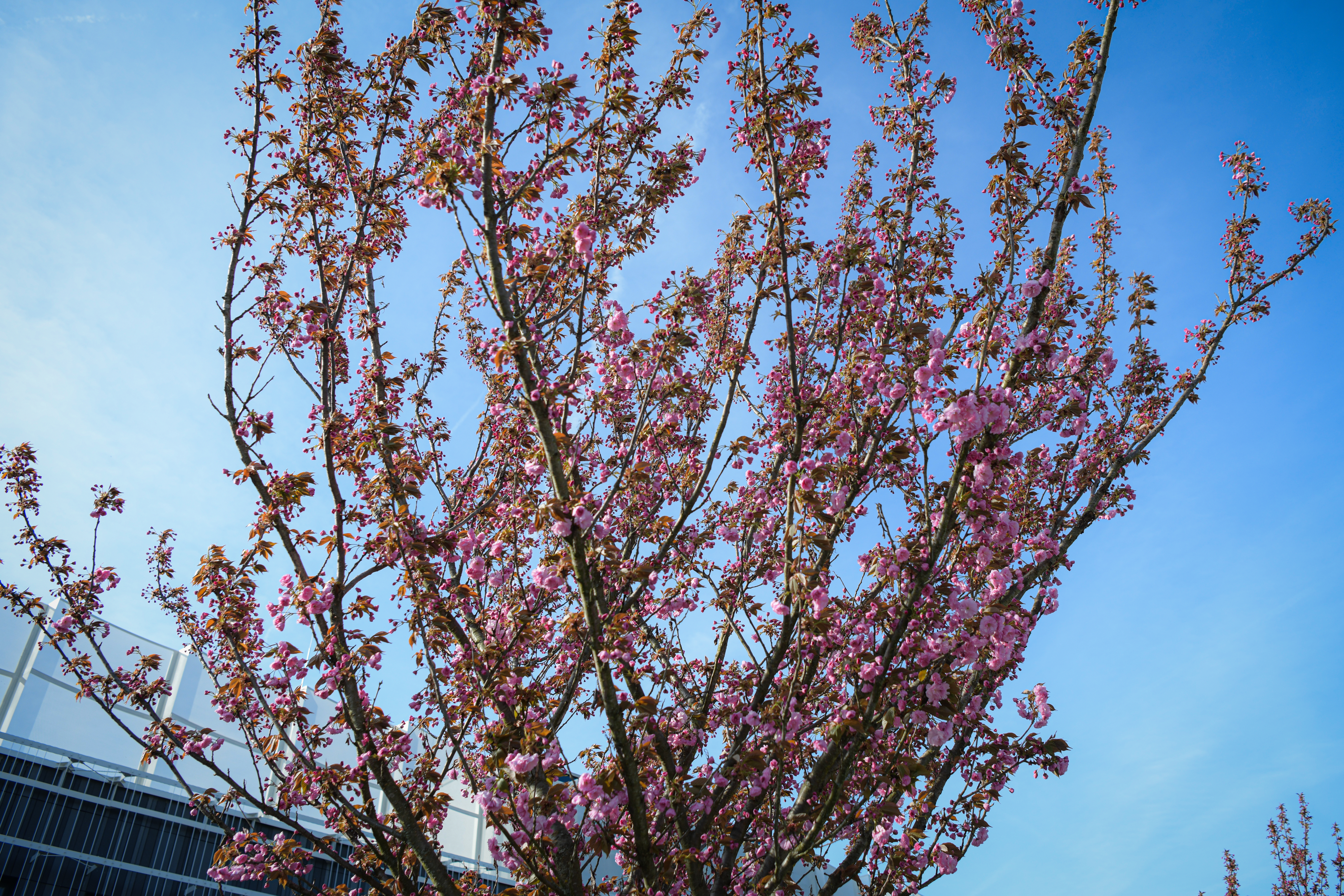 Foto: Uroš Kokol/N1