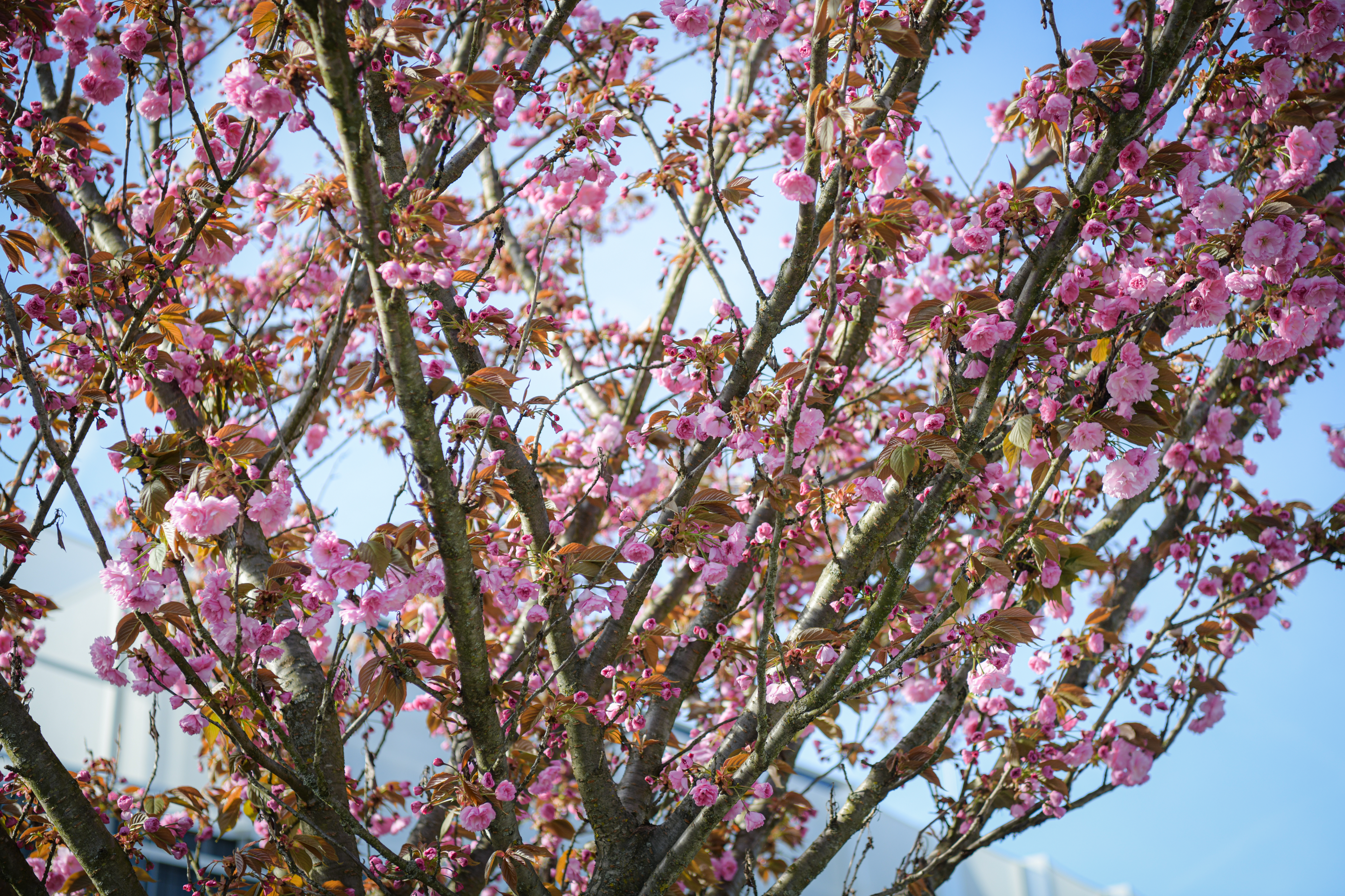 Foto: Uroš Kokol/N1