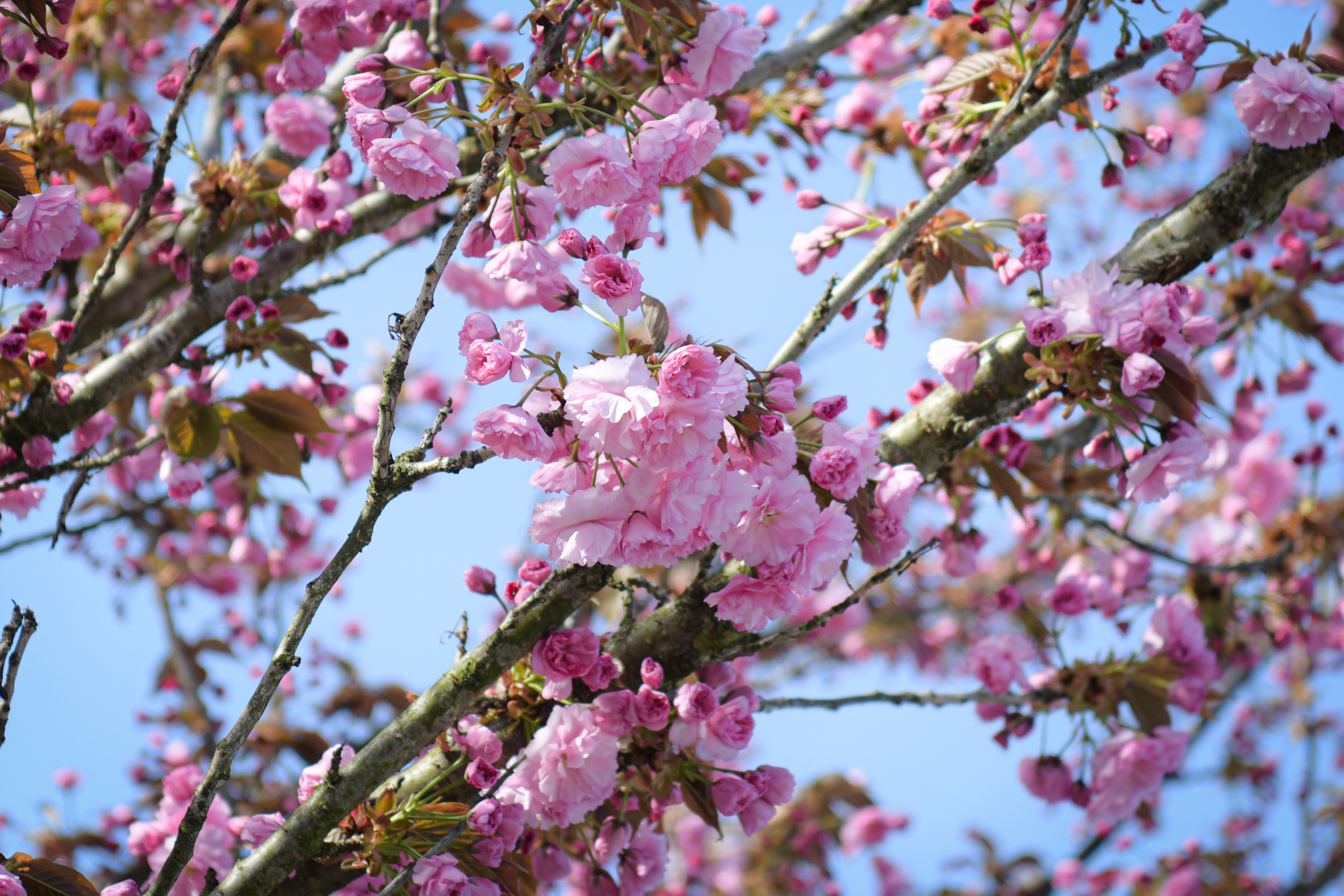 Foto: Uroš Kokol/N1