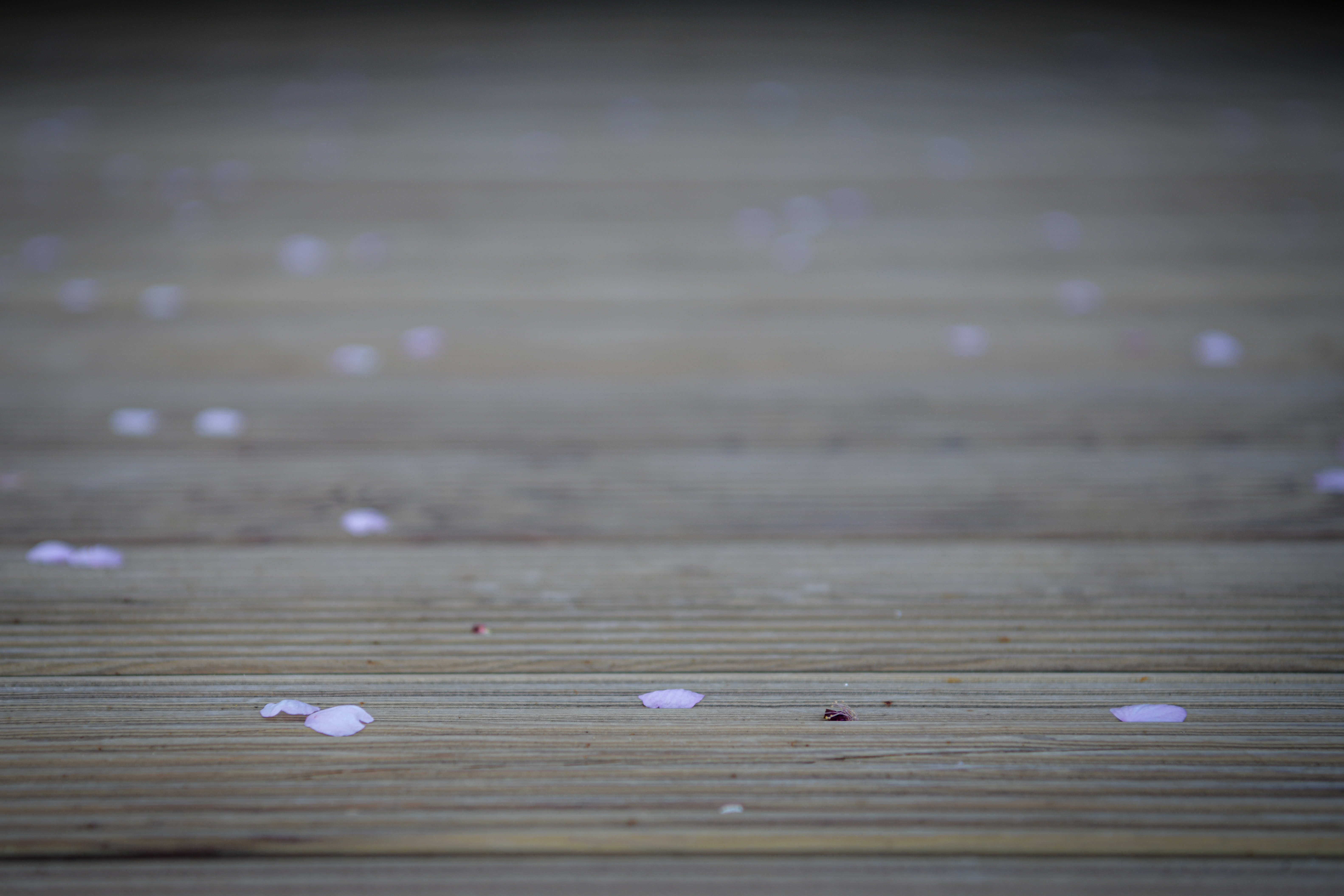 Foto: Uroš Kokol/N1