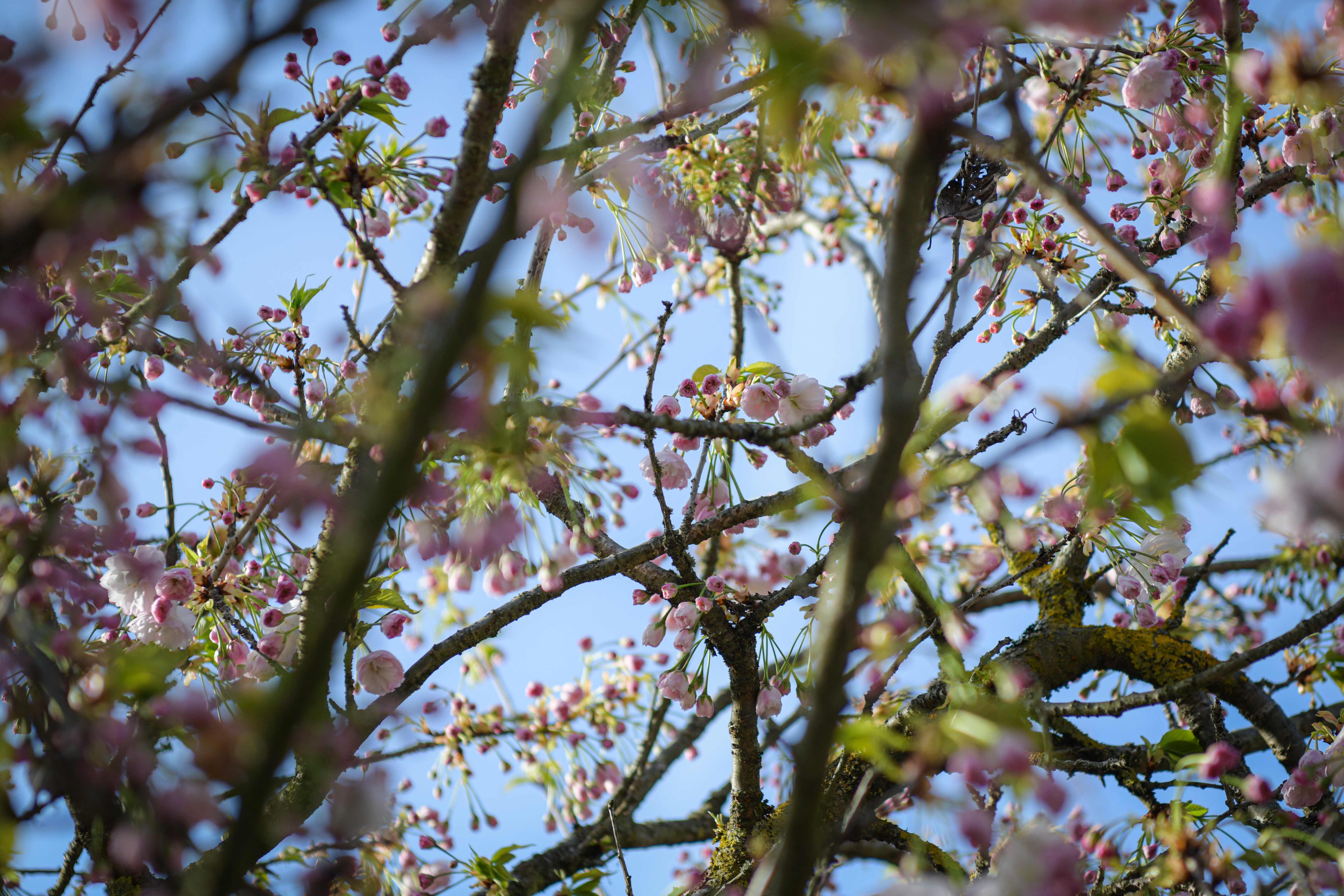 Foto: Uroš Kokol/N1