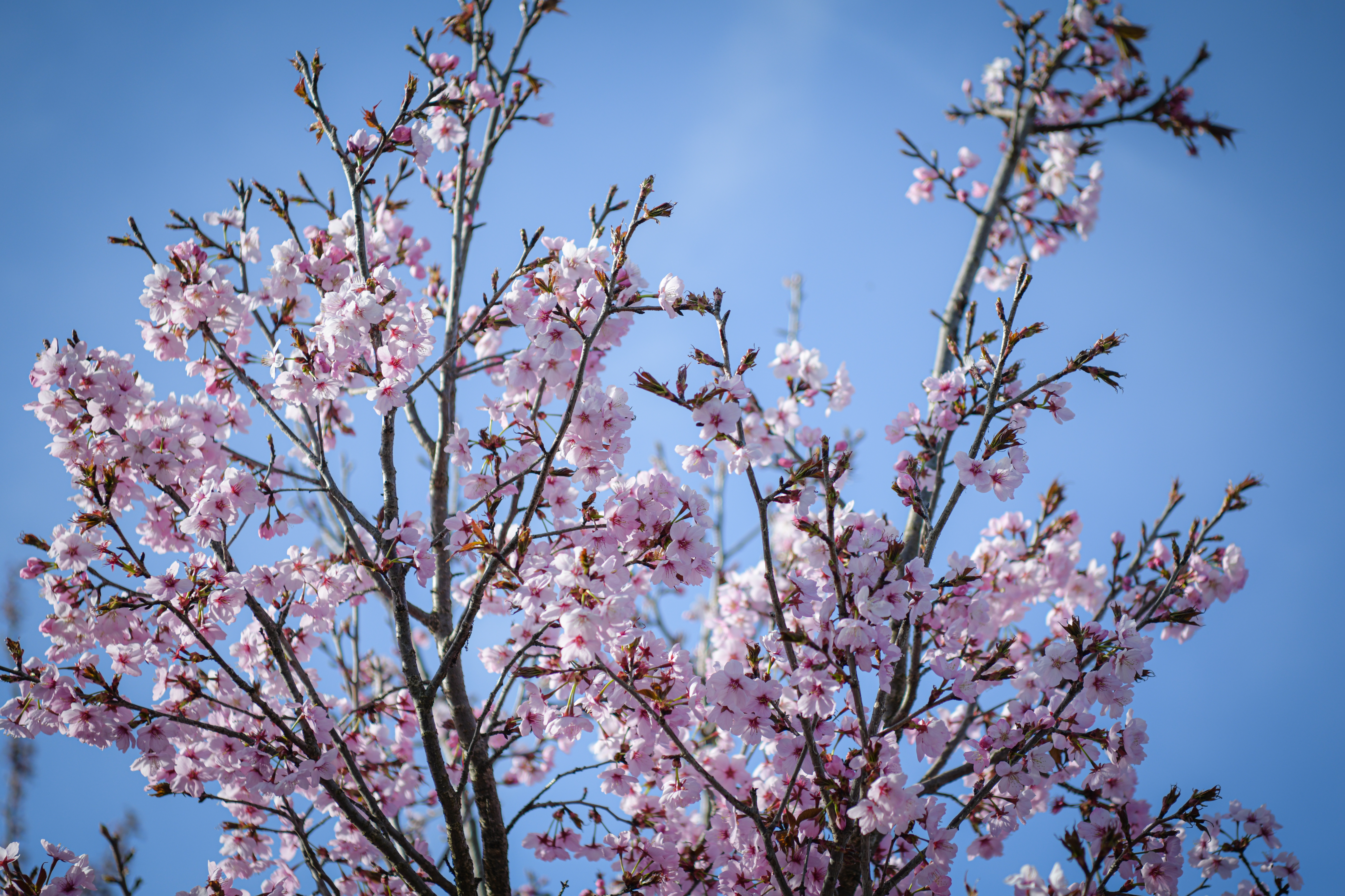 Foto: Uroš Kokol/N1