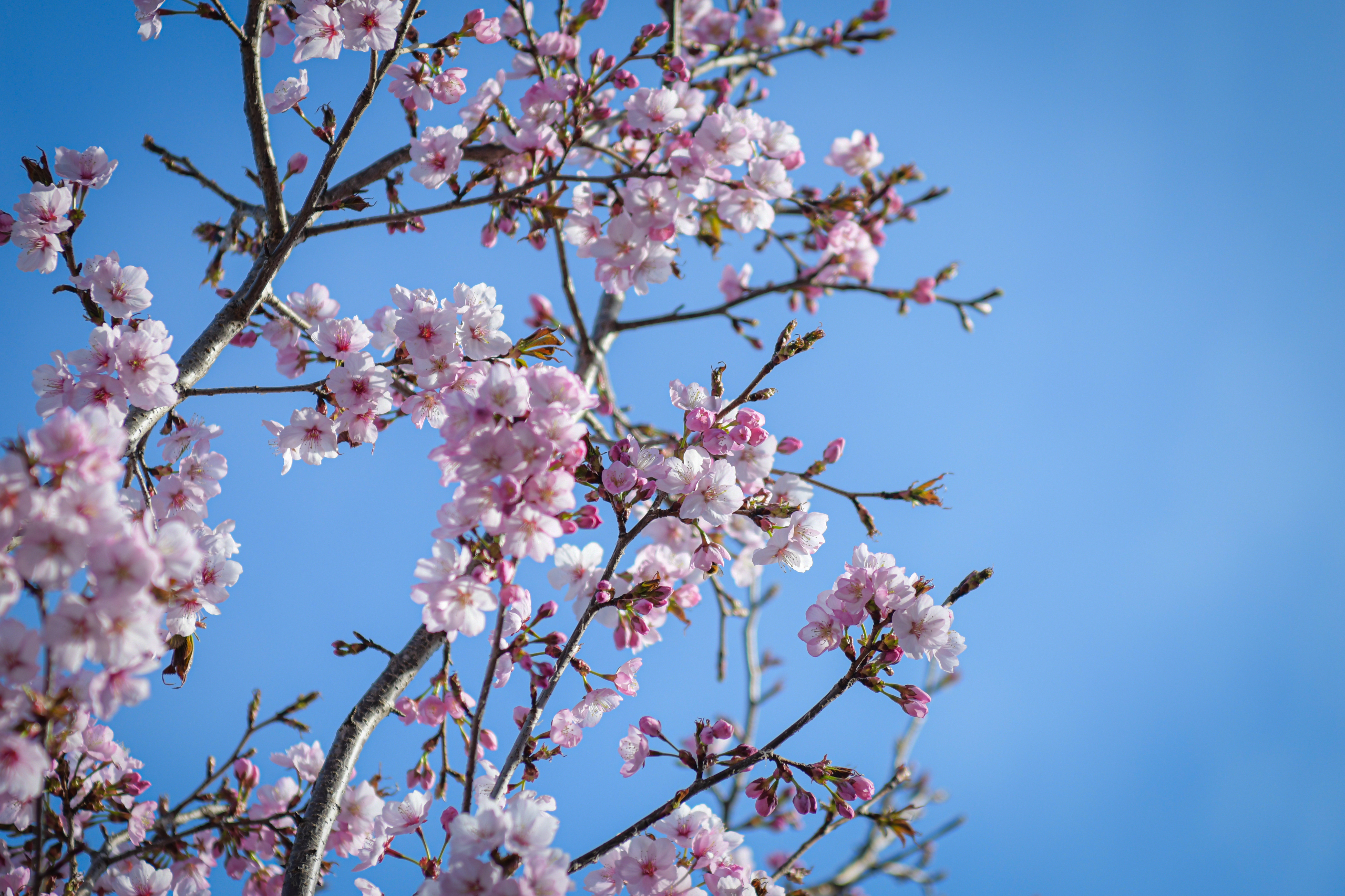 Foto: Uroš Kokol/N1