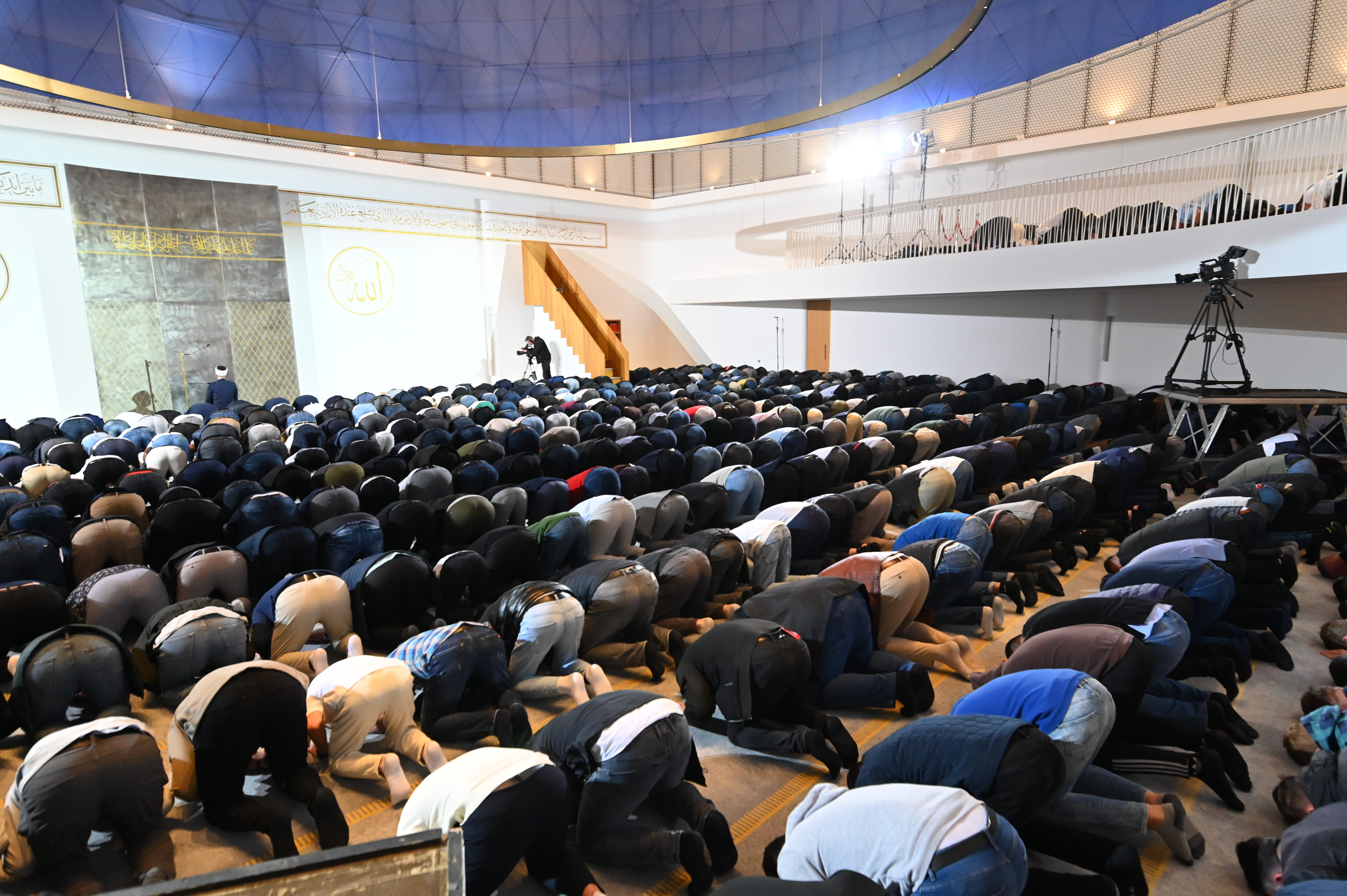 Foto: Žiga Živulović jr./BOBO