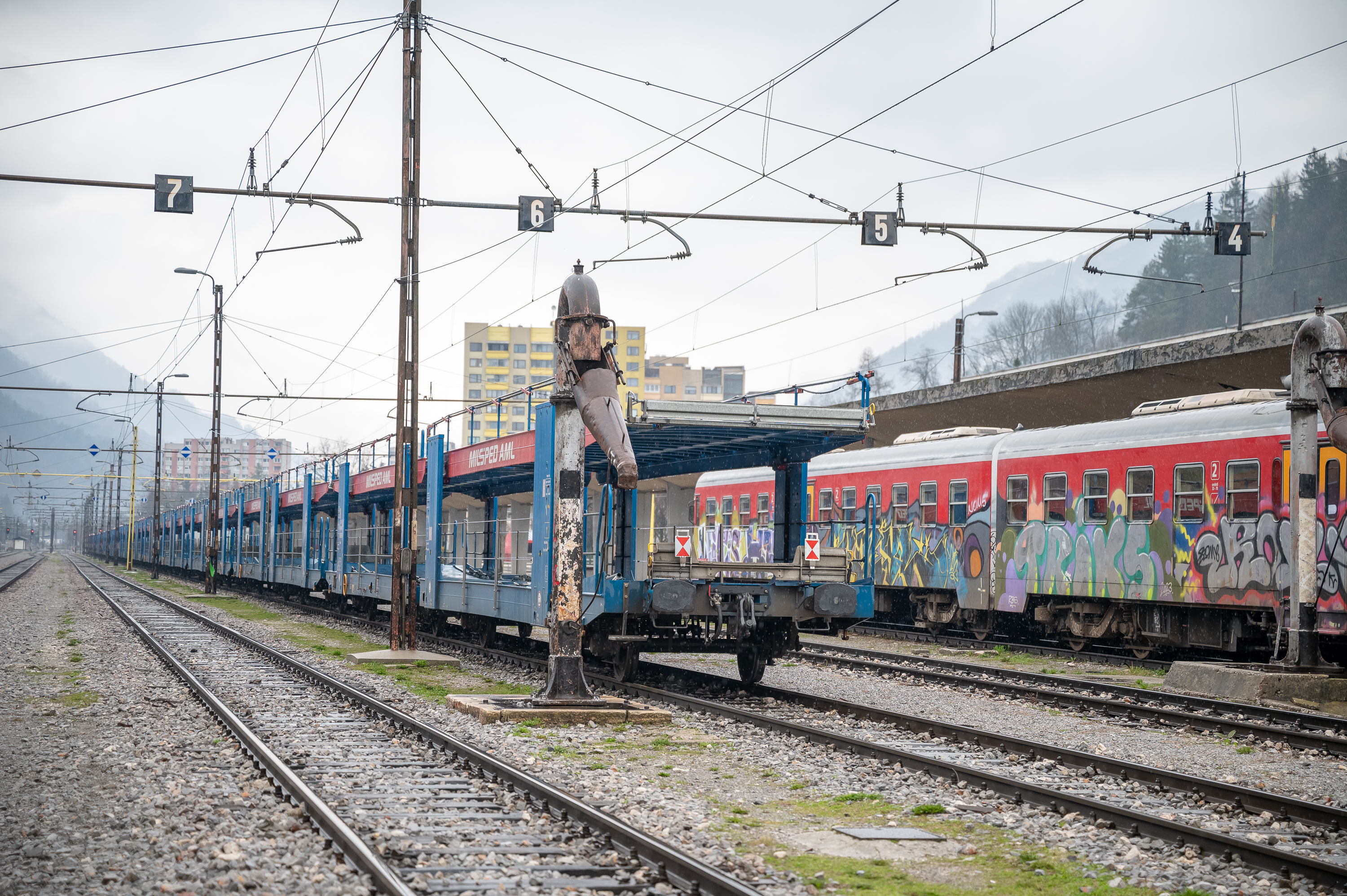 Foto: Nik Bertoncelj/BOBO