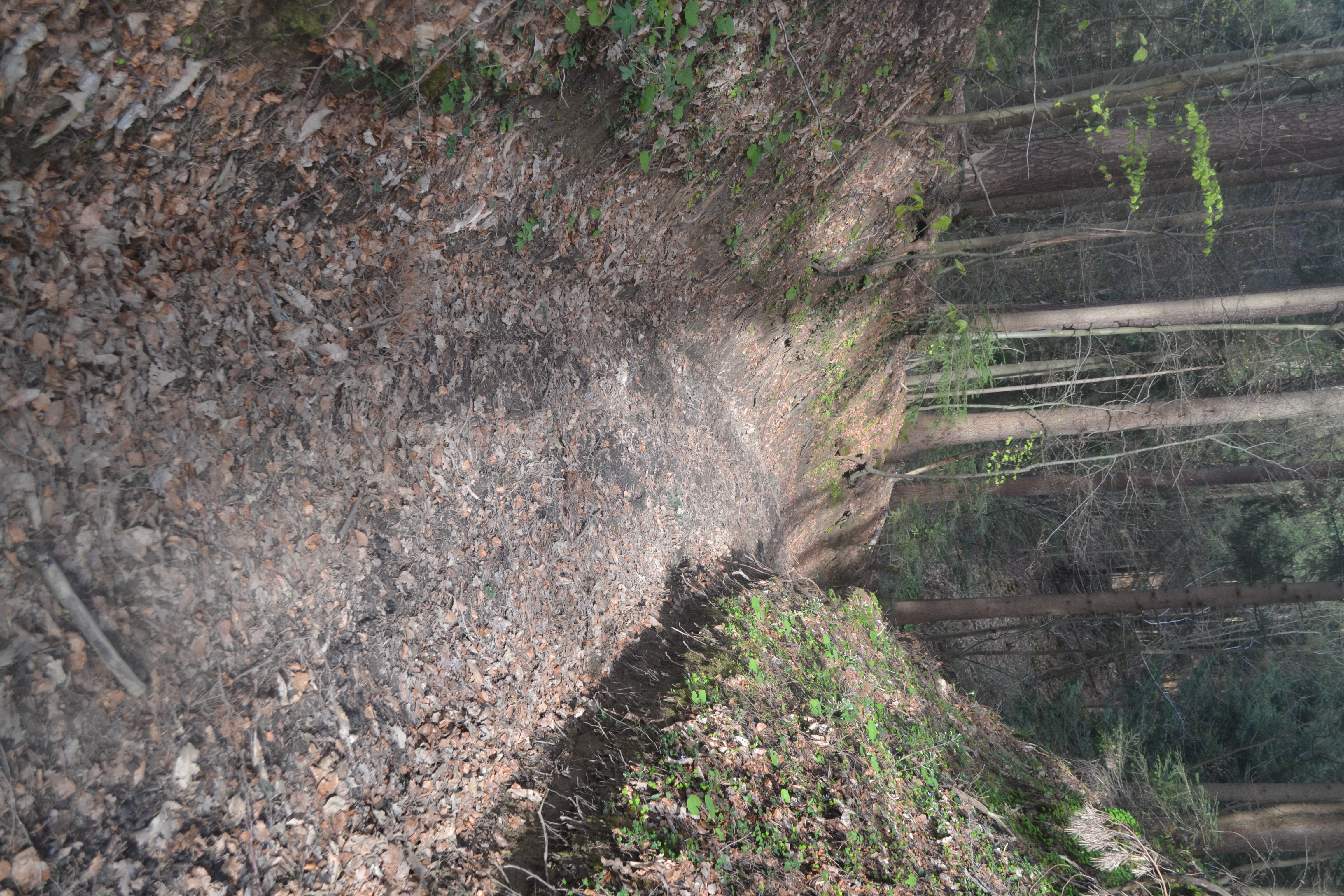 beg pred policisti, pu celje