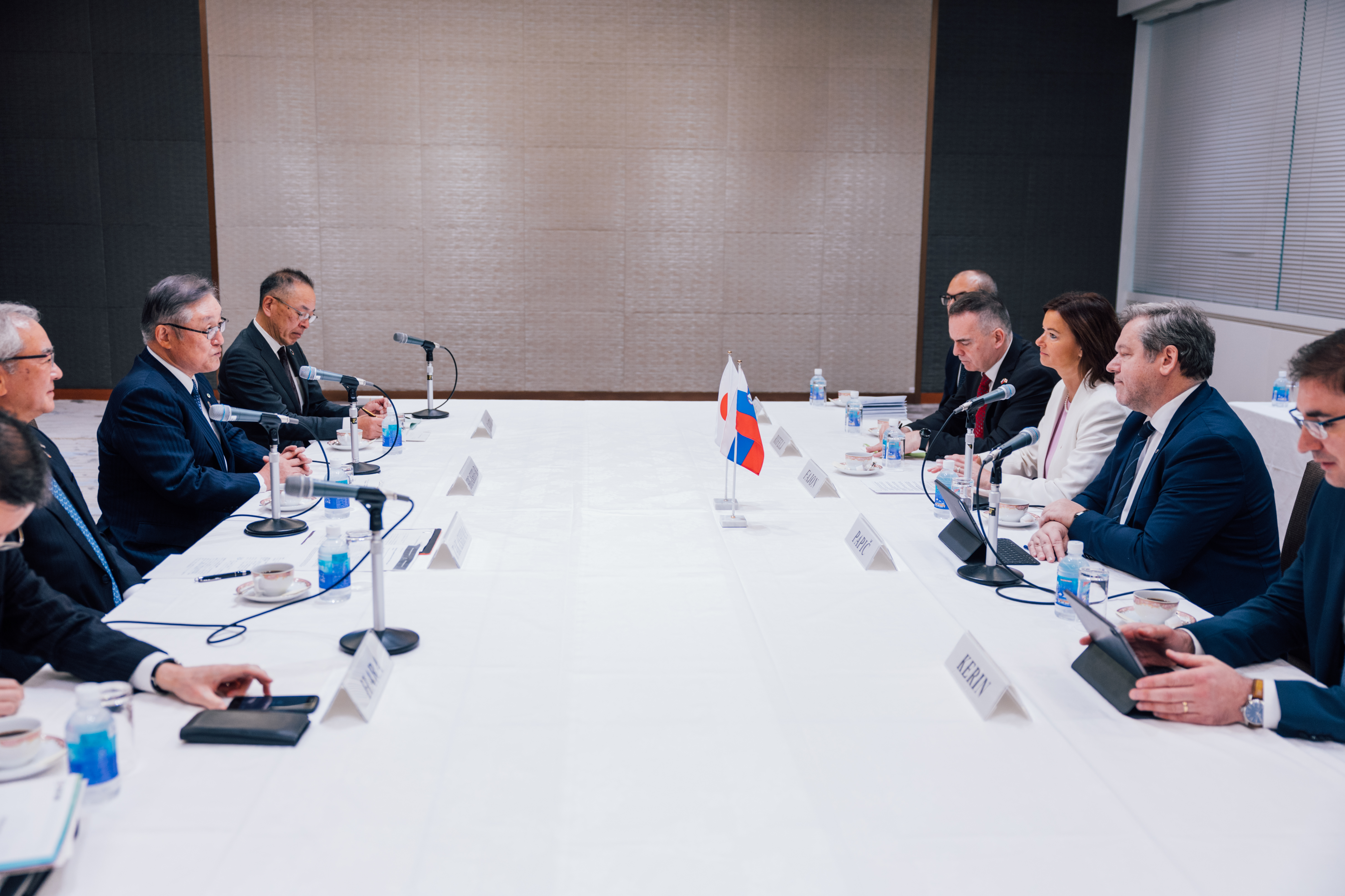 Tanja Fajon, Igor Papič, Japonska