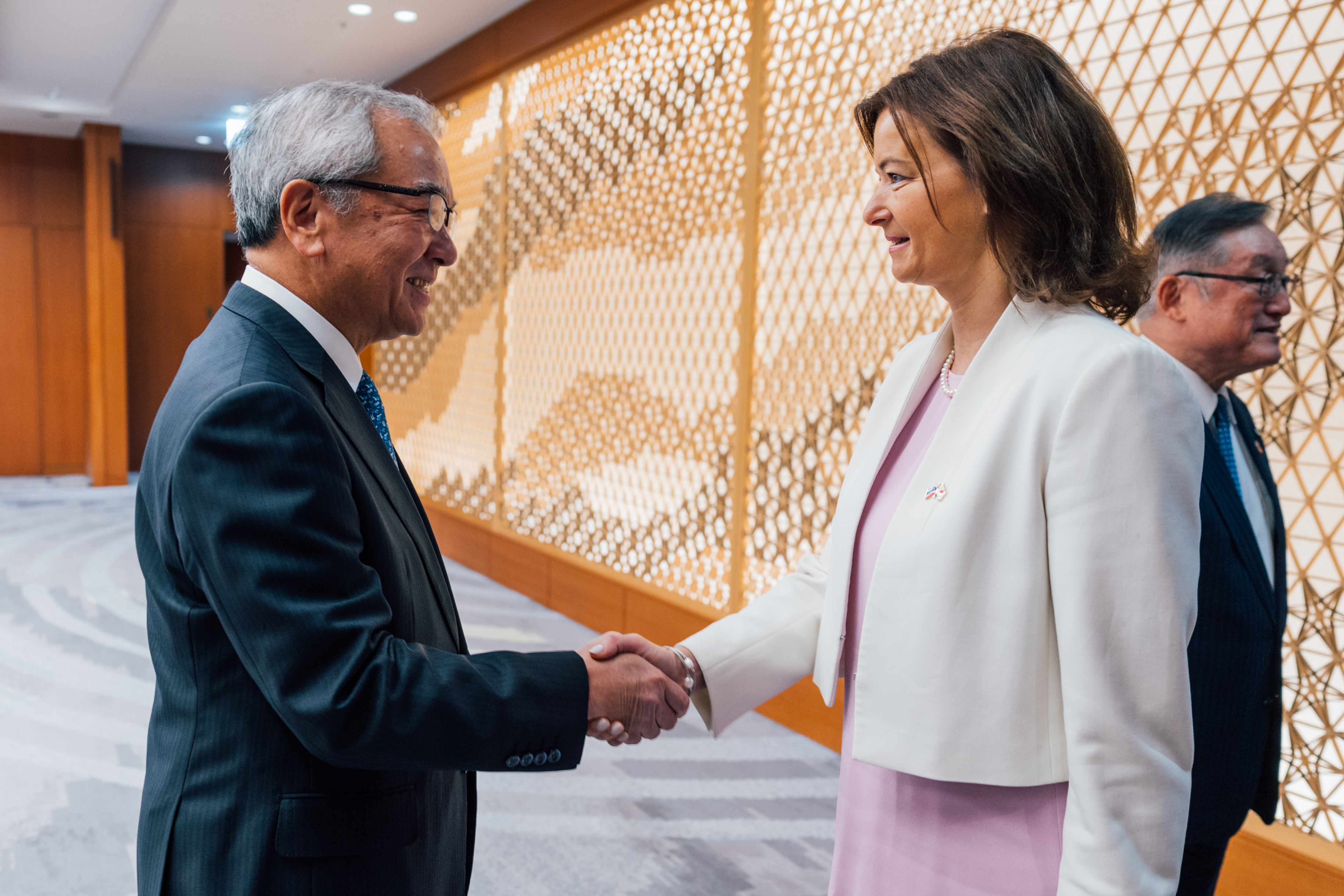 Tanja Fajon,  Japonska